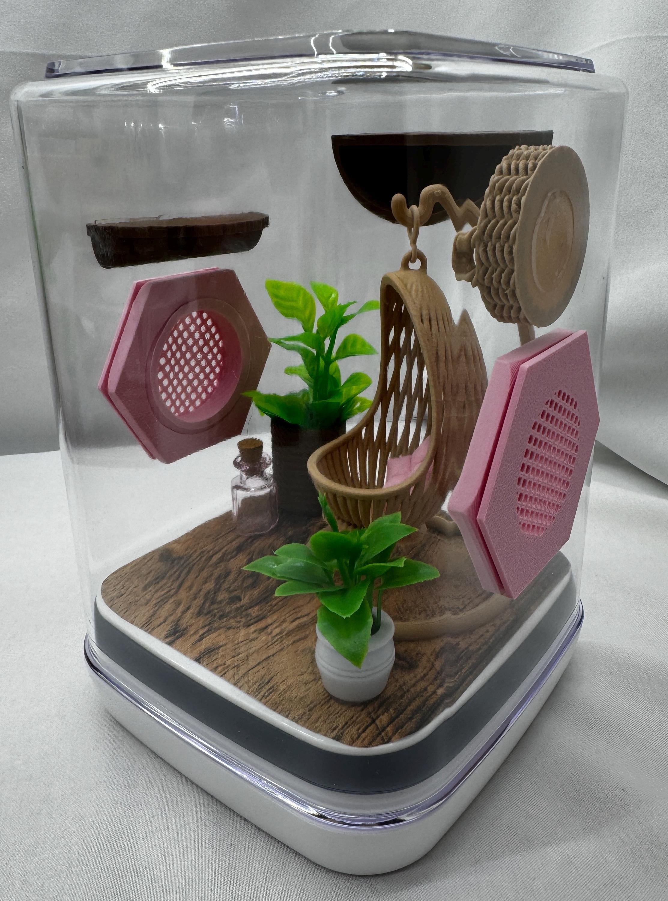 Boho jumping spider enclosure, pet house,