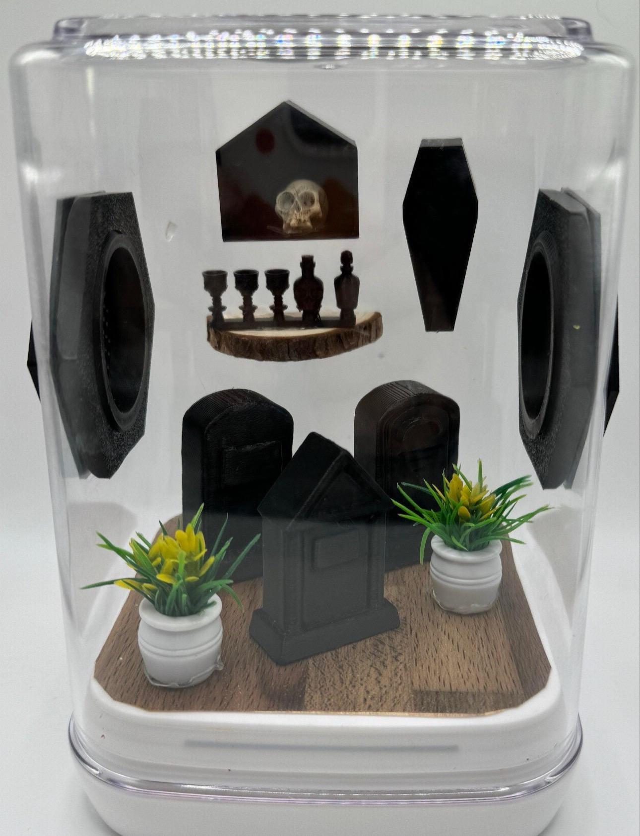 Accessory Pack for The Graveyard jumping spider enclosure