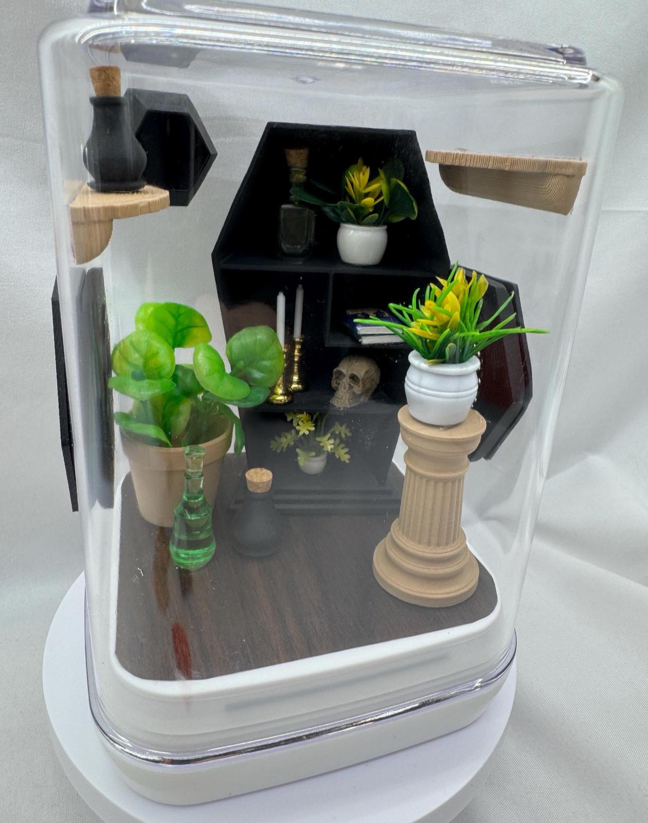 Coffin Cove jumping spider enclosure, terrarium, acrylic, home