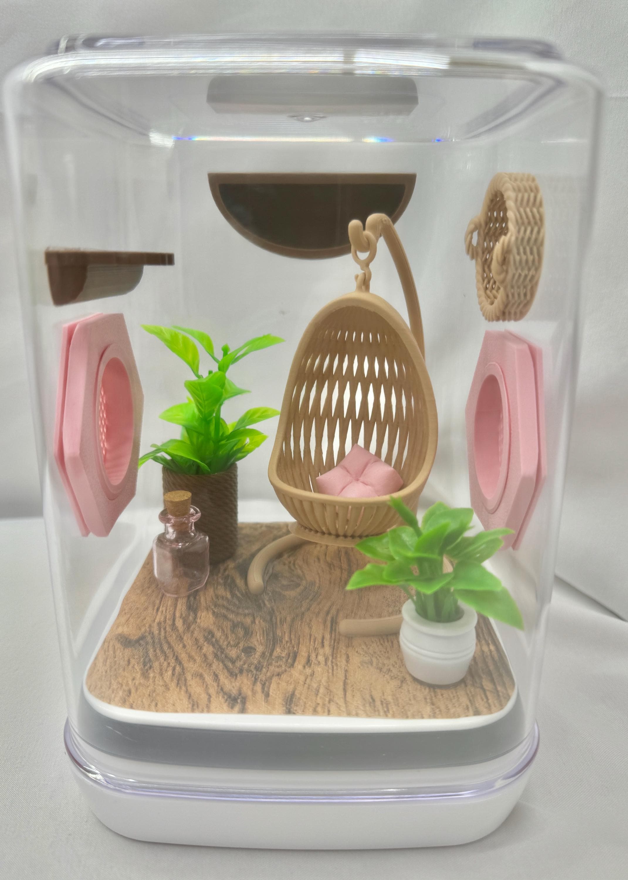 Boho jumping spider enclosure, pet house,