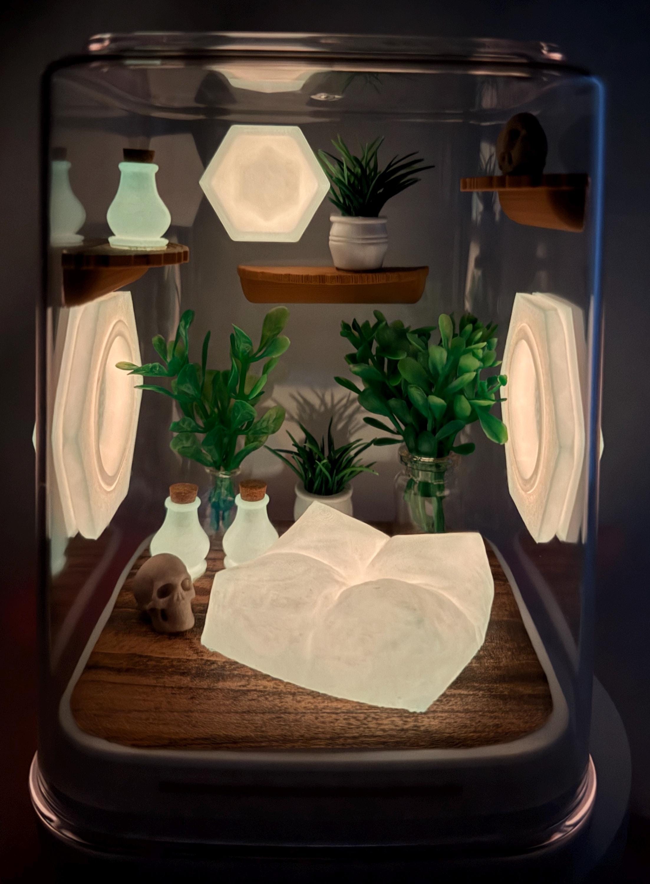 Coral Cove Glow jumping spider enclosure, pet house, home