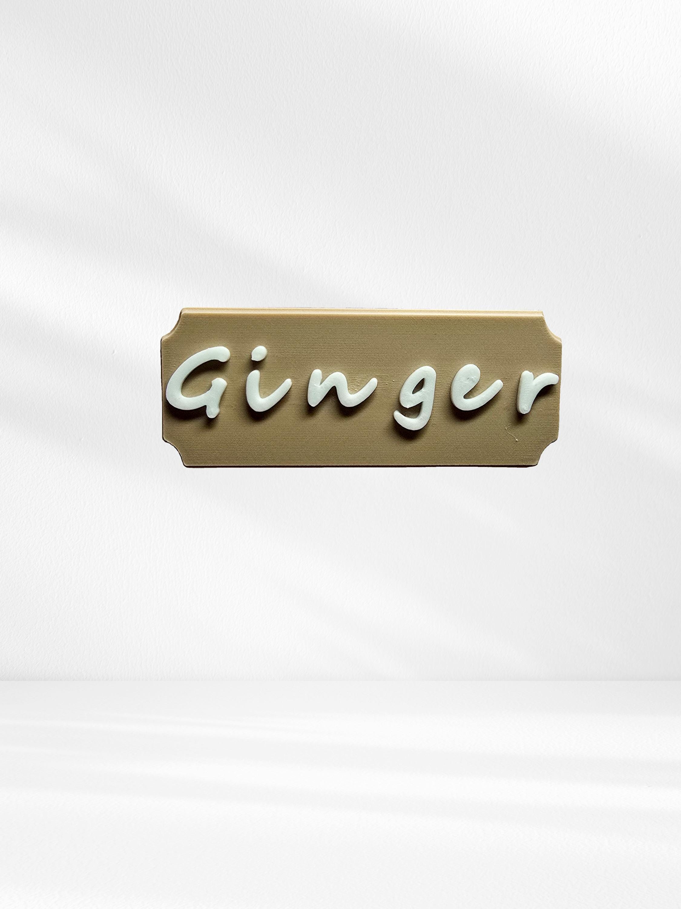 Personalized name tag, Magnetic, customizable, for spider and reptile enclosures.