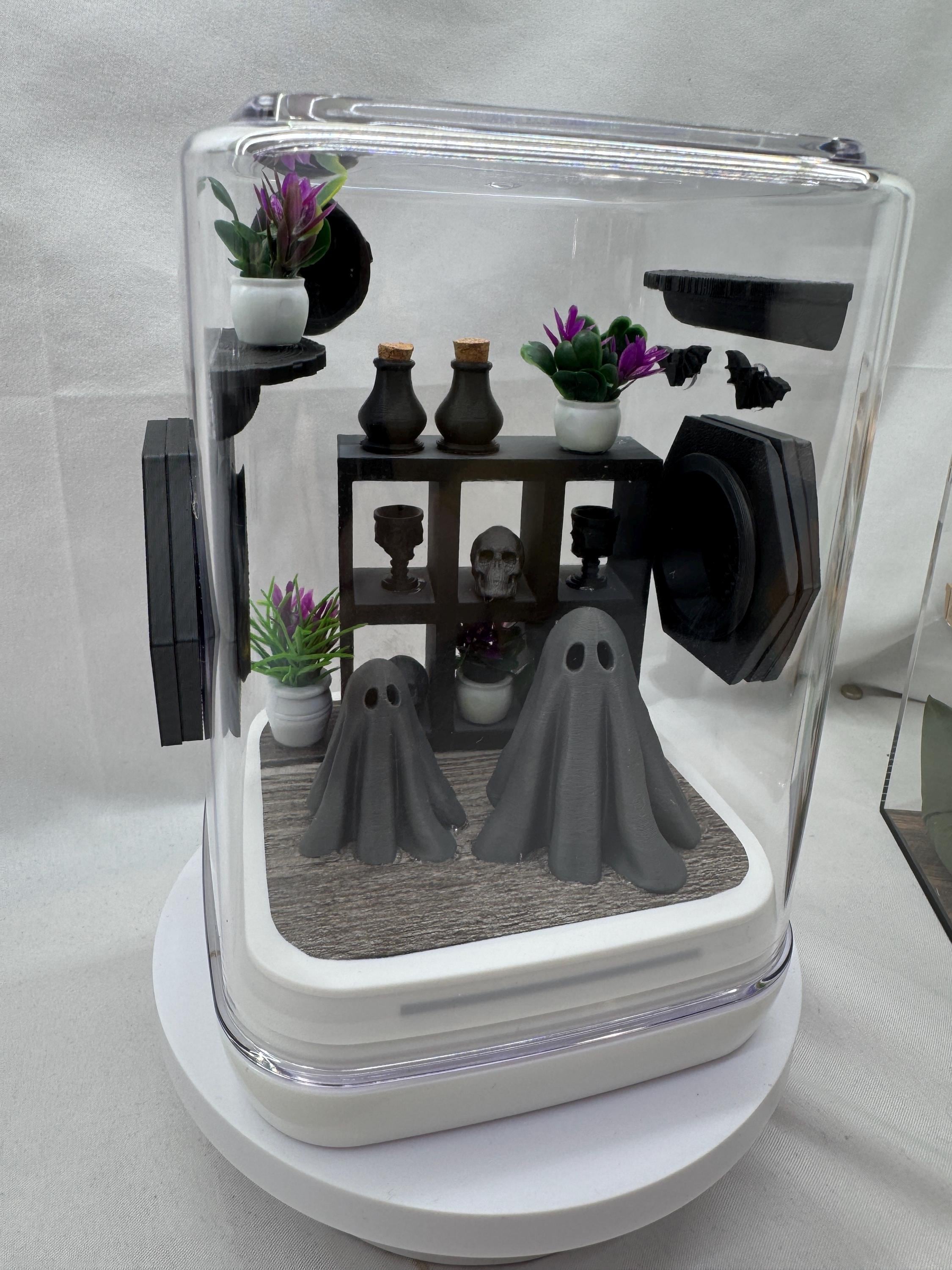 Accessory Pack for The Haunted  Ghost Mansion jumping spider enclosure