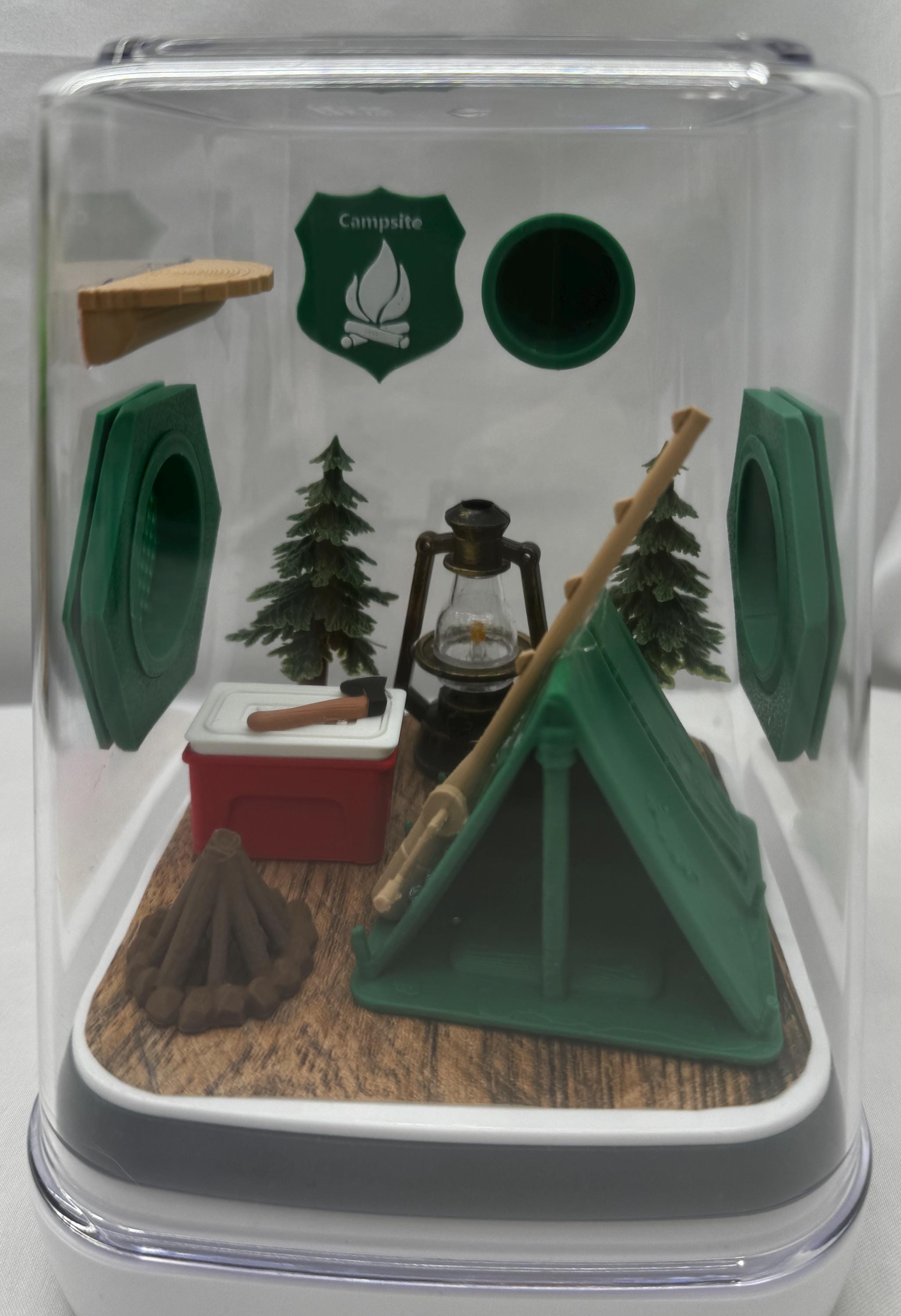 Camping Trip Jumping Spider Enclosure - Custom Terrarium for Jumpers & Arachnids