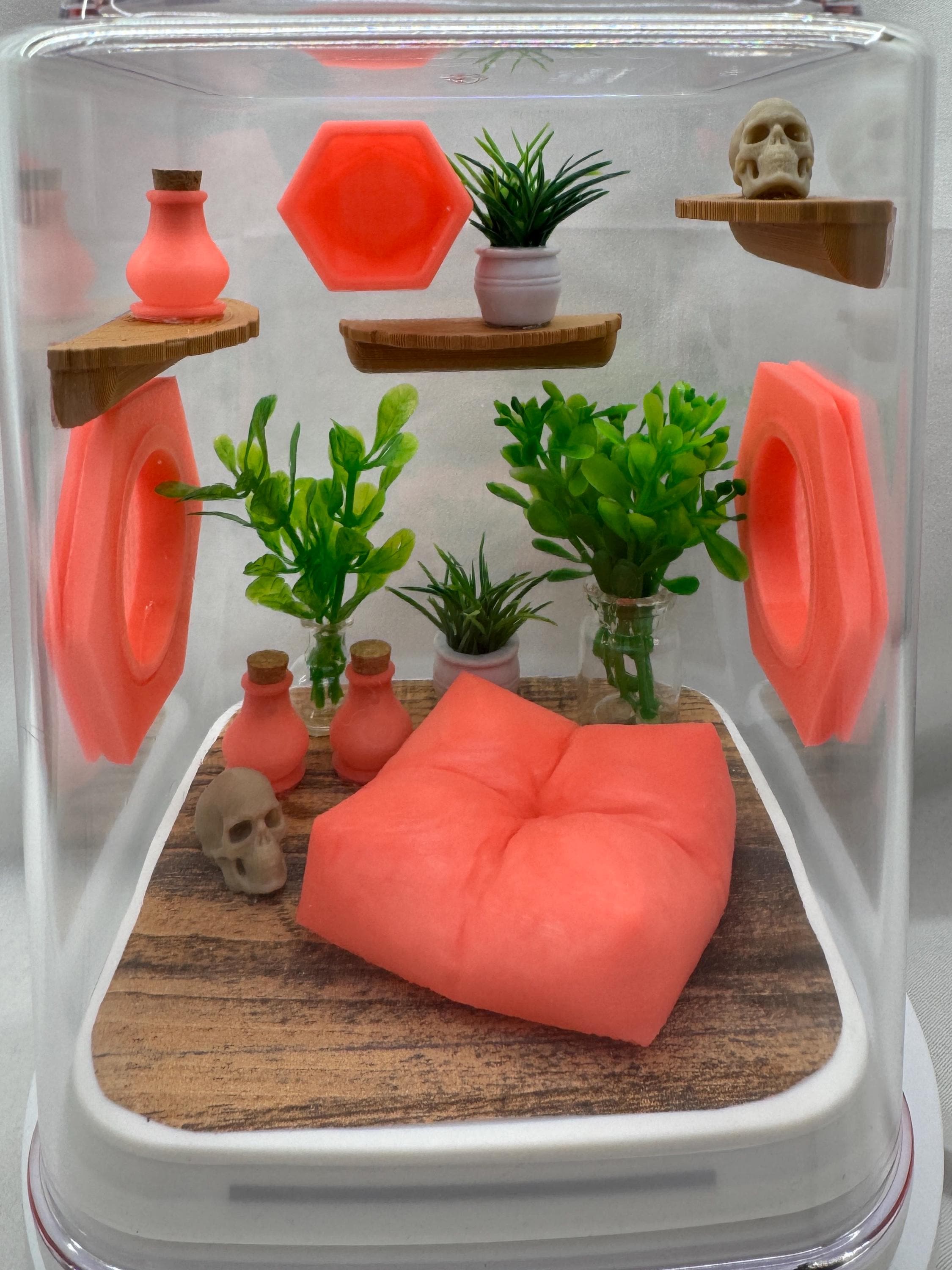 Coral Cove Glow jumping spider enclosure, pet house, home