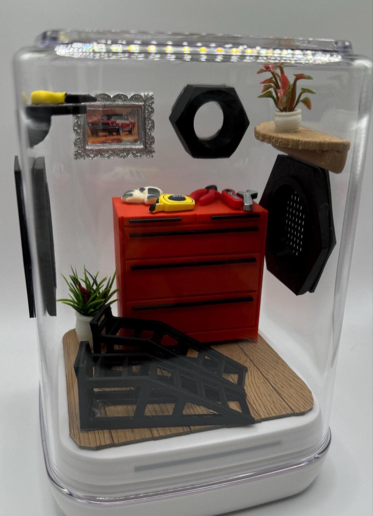 Accessory Pack for The Garage 2.0 jumping spider enclosure