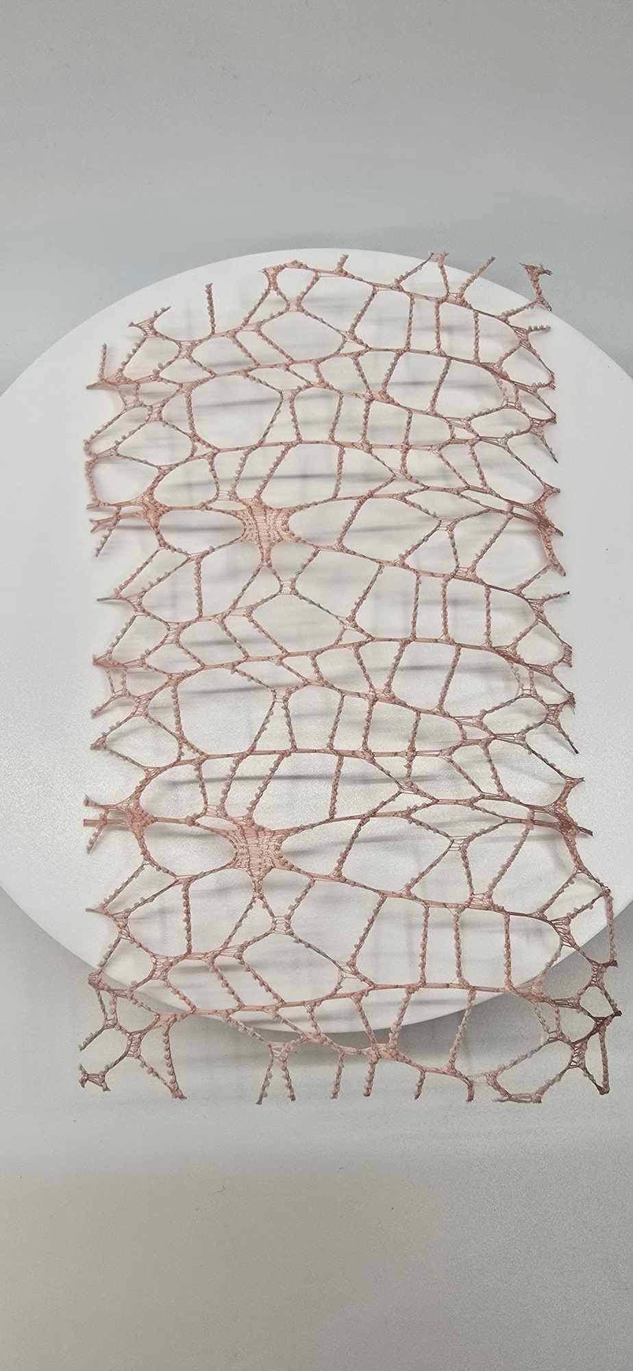 Artificial Webbing: Customizable Terrarium Decor for Jumping Spiders