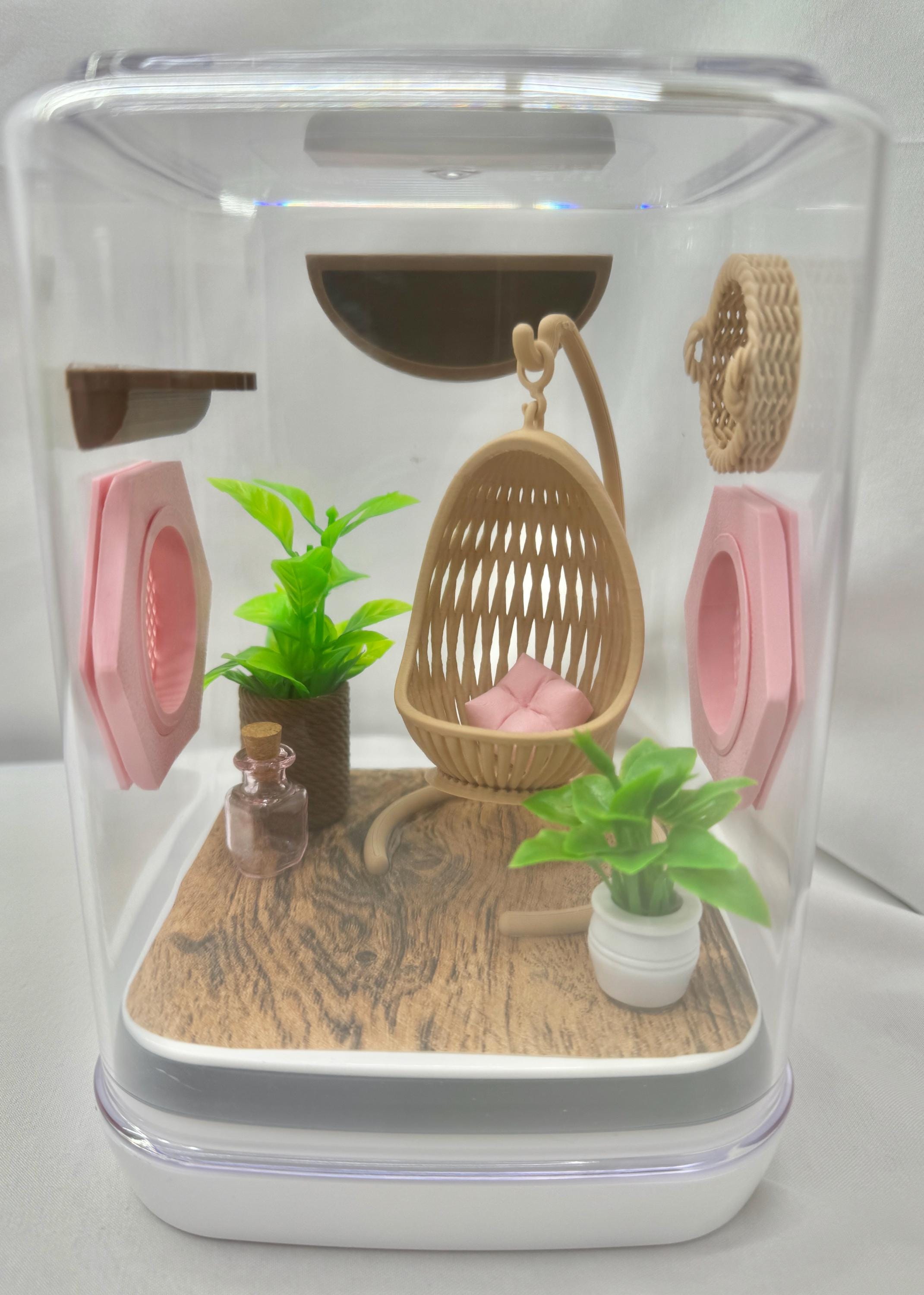 Boho jumping spider enclosure, pet house,