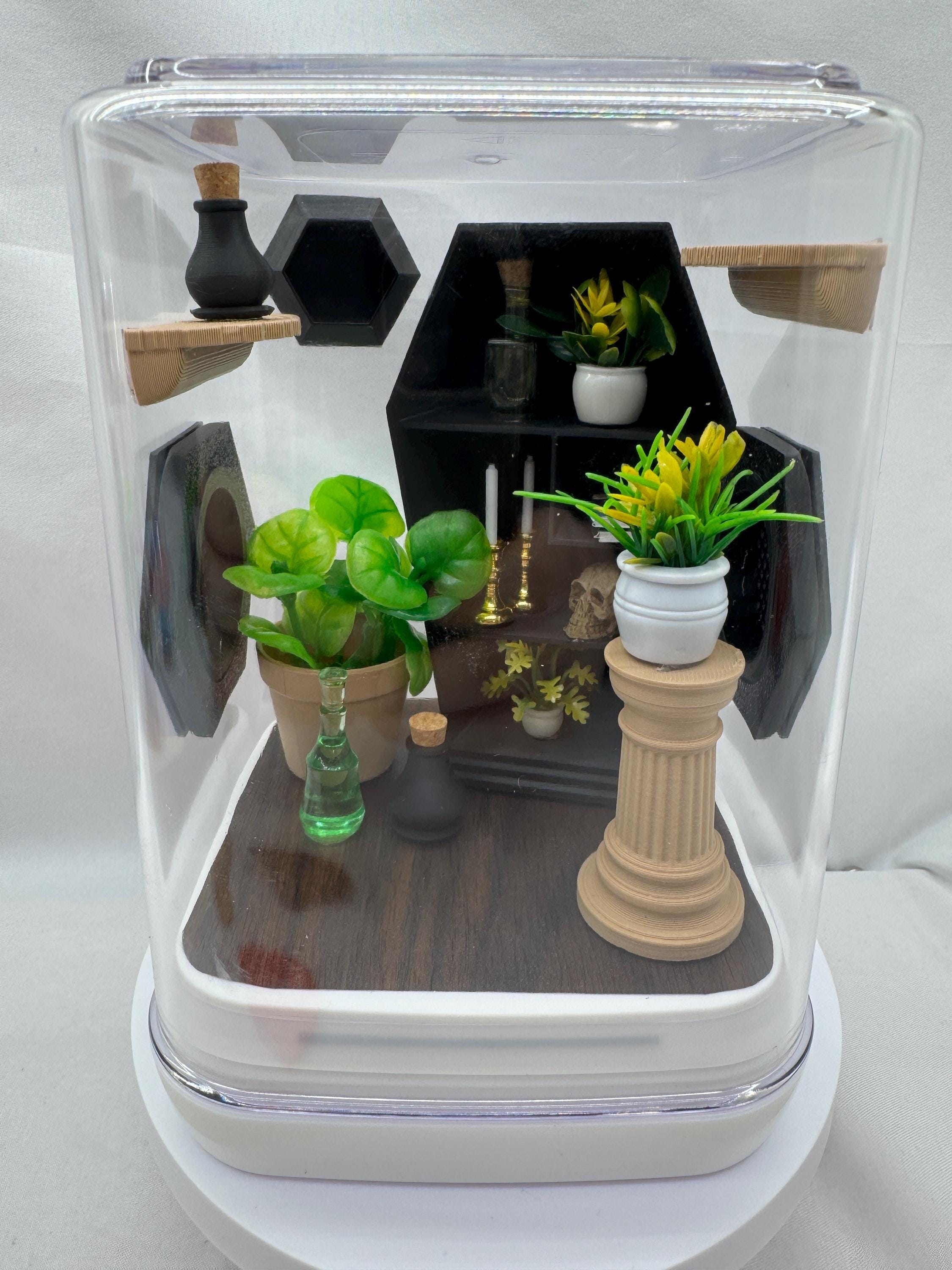 Coffin Cove jumping spider enclosure, terrarium, acrylic, home