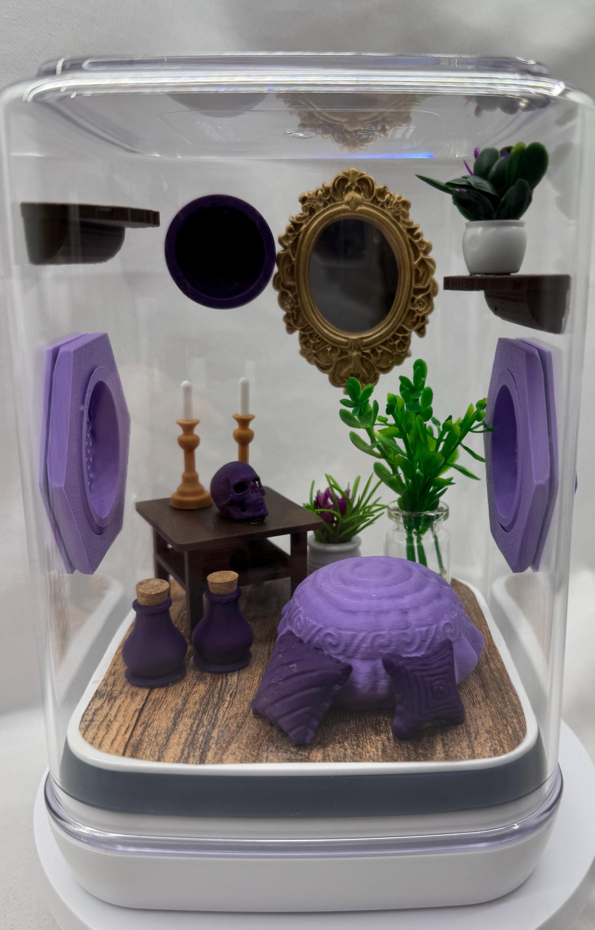 Elegant Jumping Spider Terrarium: Custom 3D Printed Habitat for Arachnid Enthusiasts