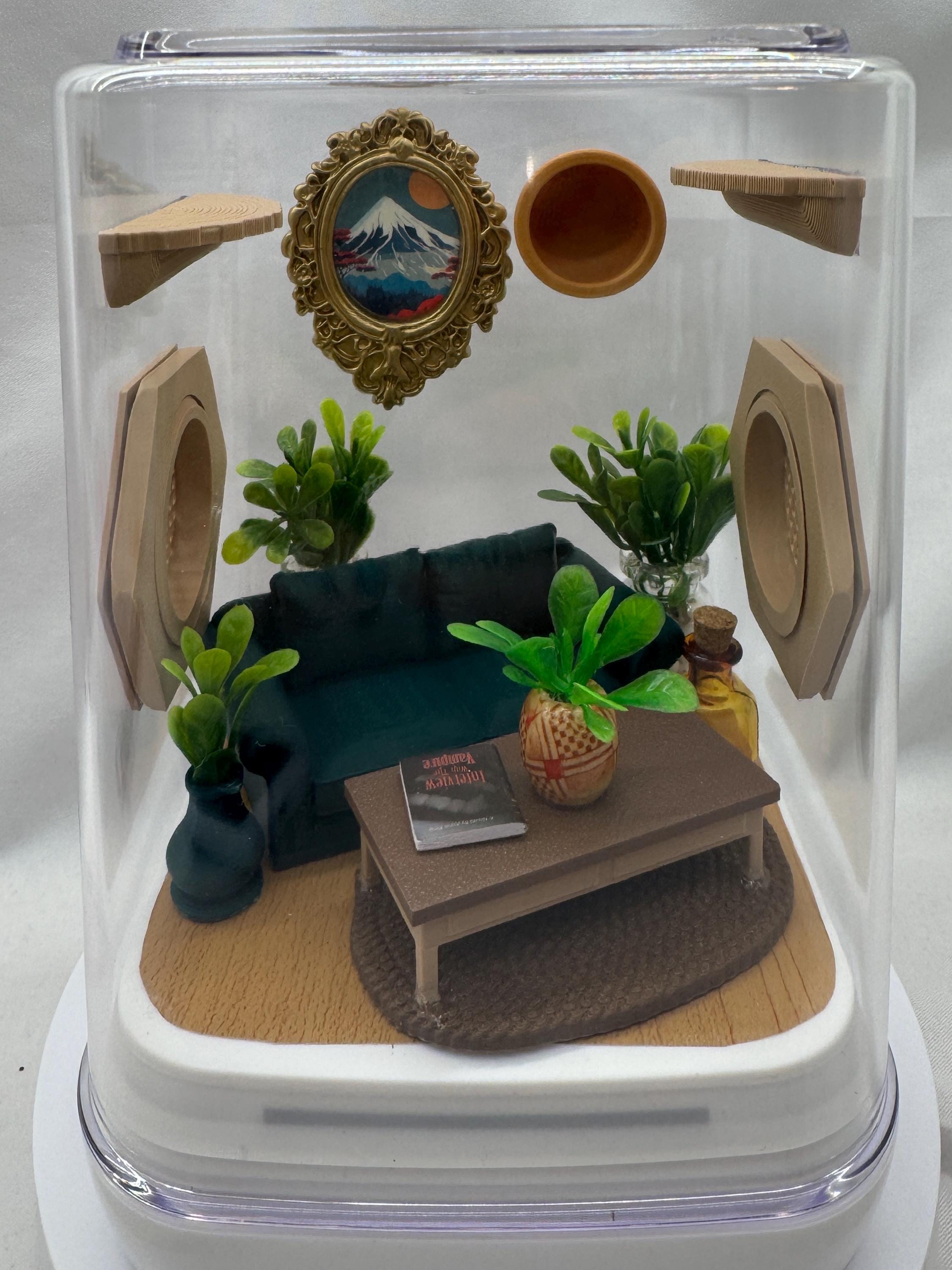 Decorated Jumping Spider Enclosure: Acrylic Living Room Terrarium (5x5x7 inches)