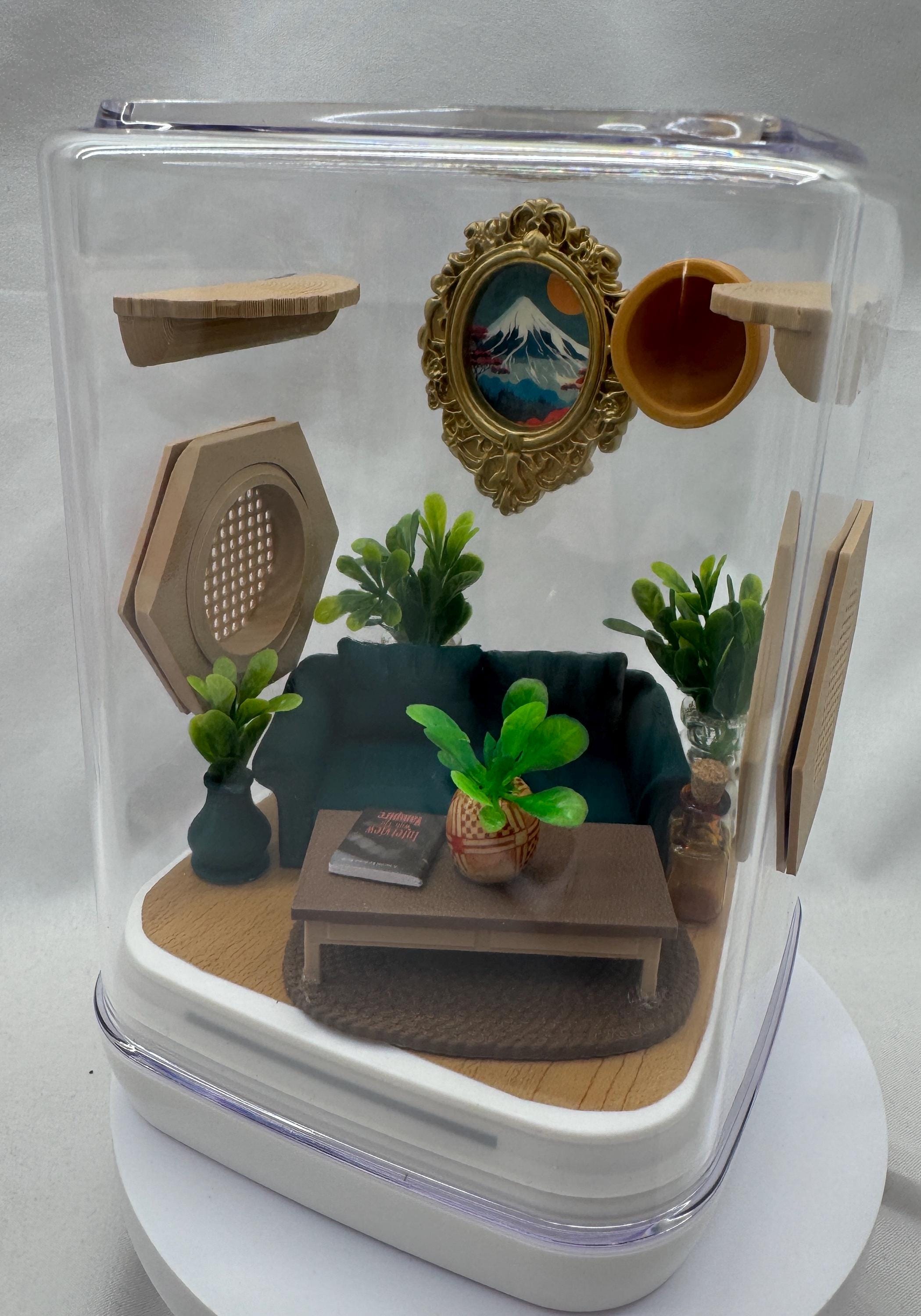Decorated Jumping Spider Enclosure: Acrylic Living Room Terrarium (5x5x7 inches)