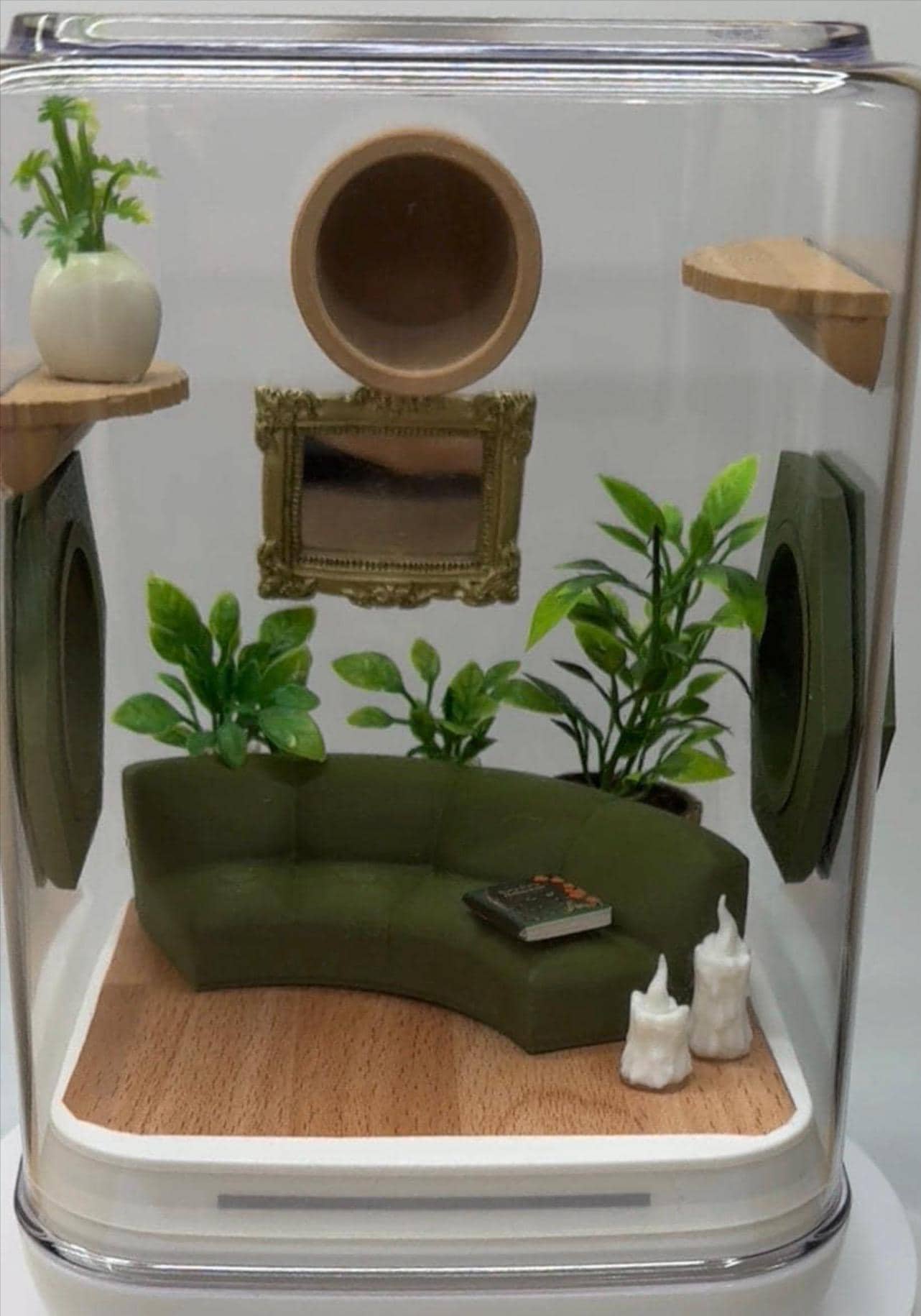 Accessory Pack for The Comfy Couch jumping spider enclosure,accessories,3d printed,decor