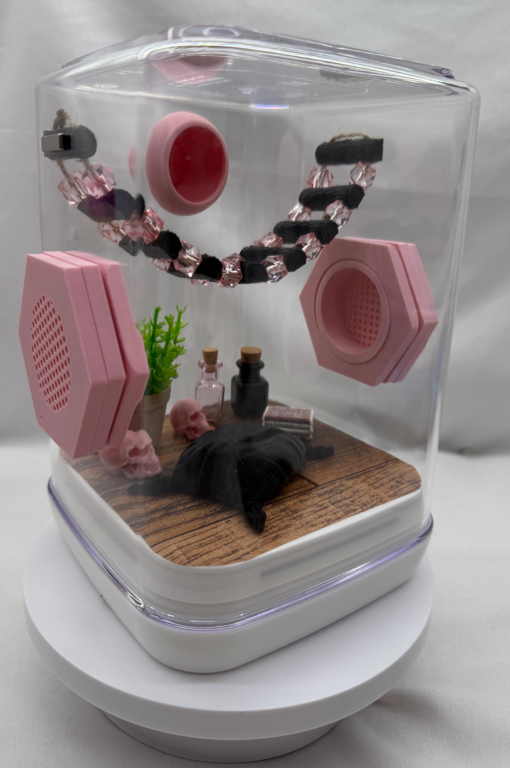 Decorated Jumping Spider Enclosure: Pink Eclipse Terrarium (5x5x7 inches)