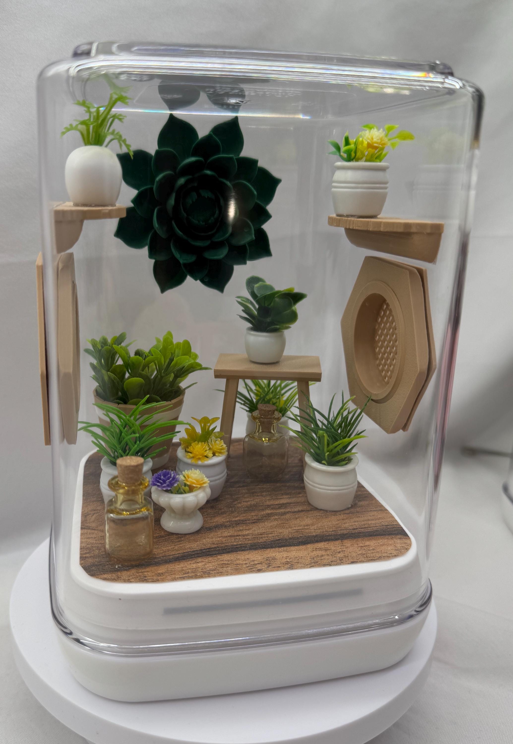Sun Room Jumping Spider Enclosure - Custom Terrarium for Jumpers & Arachnids