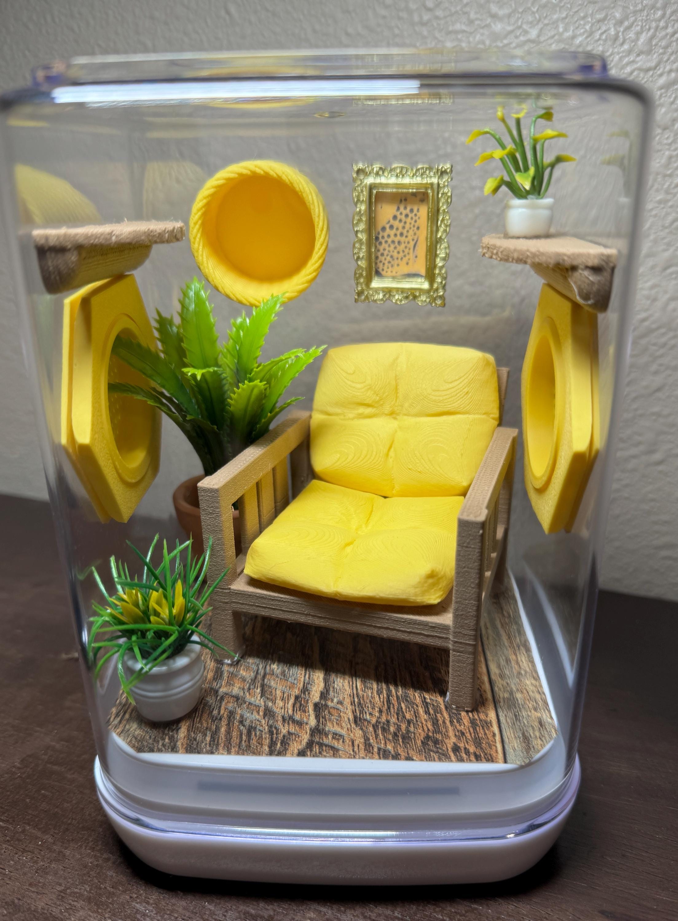 Jumping Spider Enclosure, Cute Terrarium, Buttercup Nook, Floral Decor