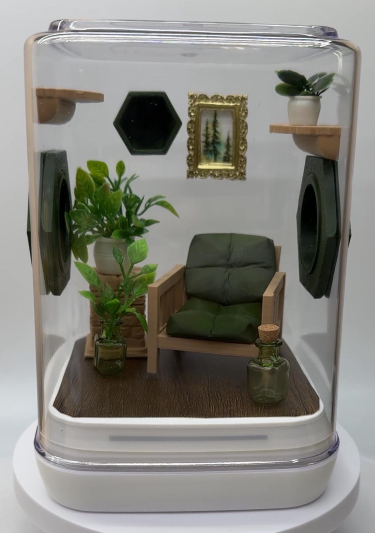 The Great Outdoors jumping spider enclosure