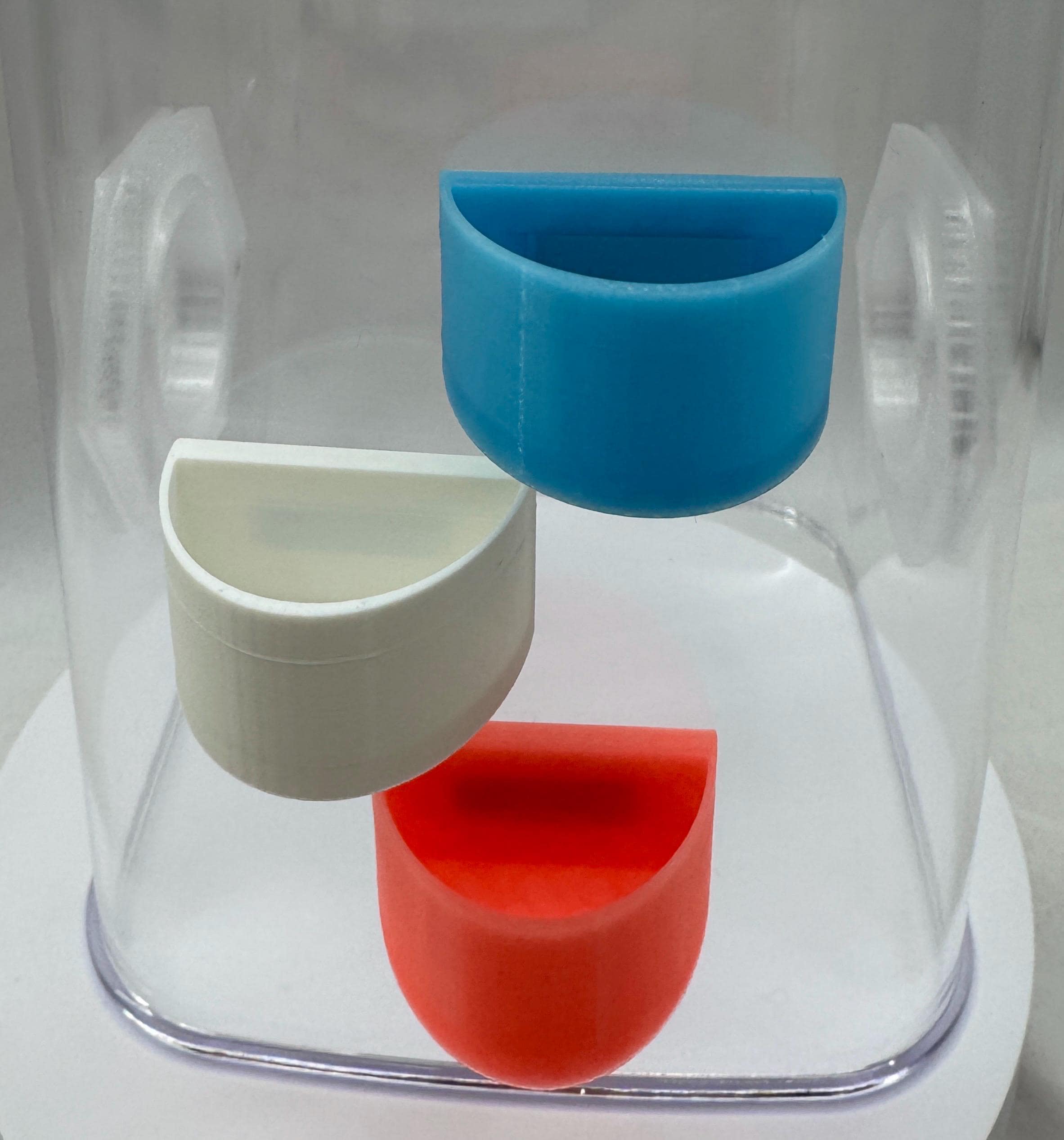 Jumping spider feeding dish, accessories