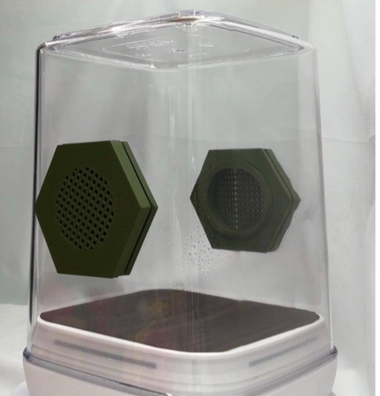 Custom Jumping Spider Enclosure: Personalized Habitat (7x5x5 inch)