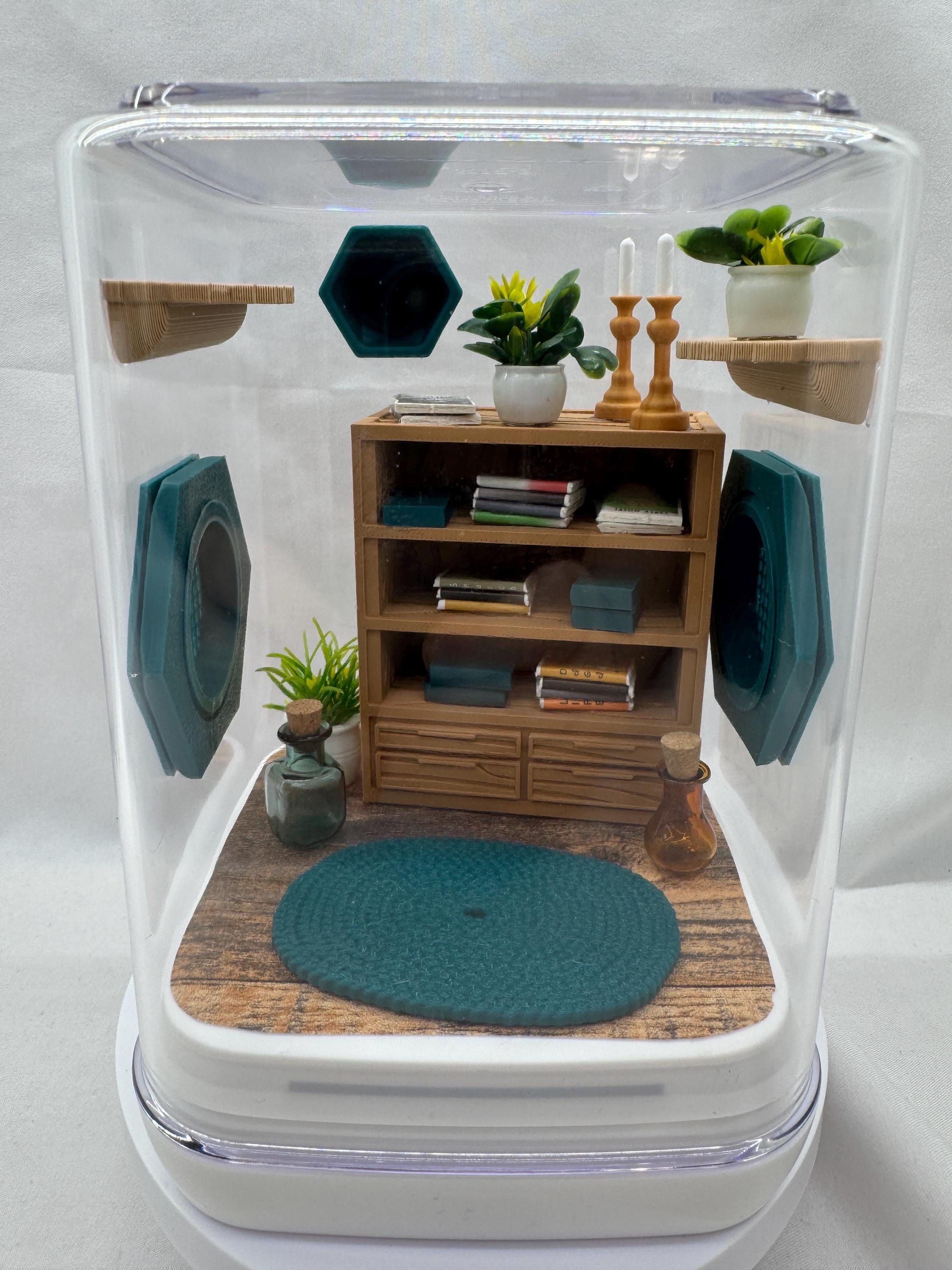The spider study jumping spider enclosure