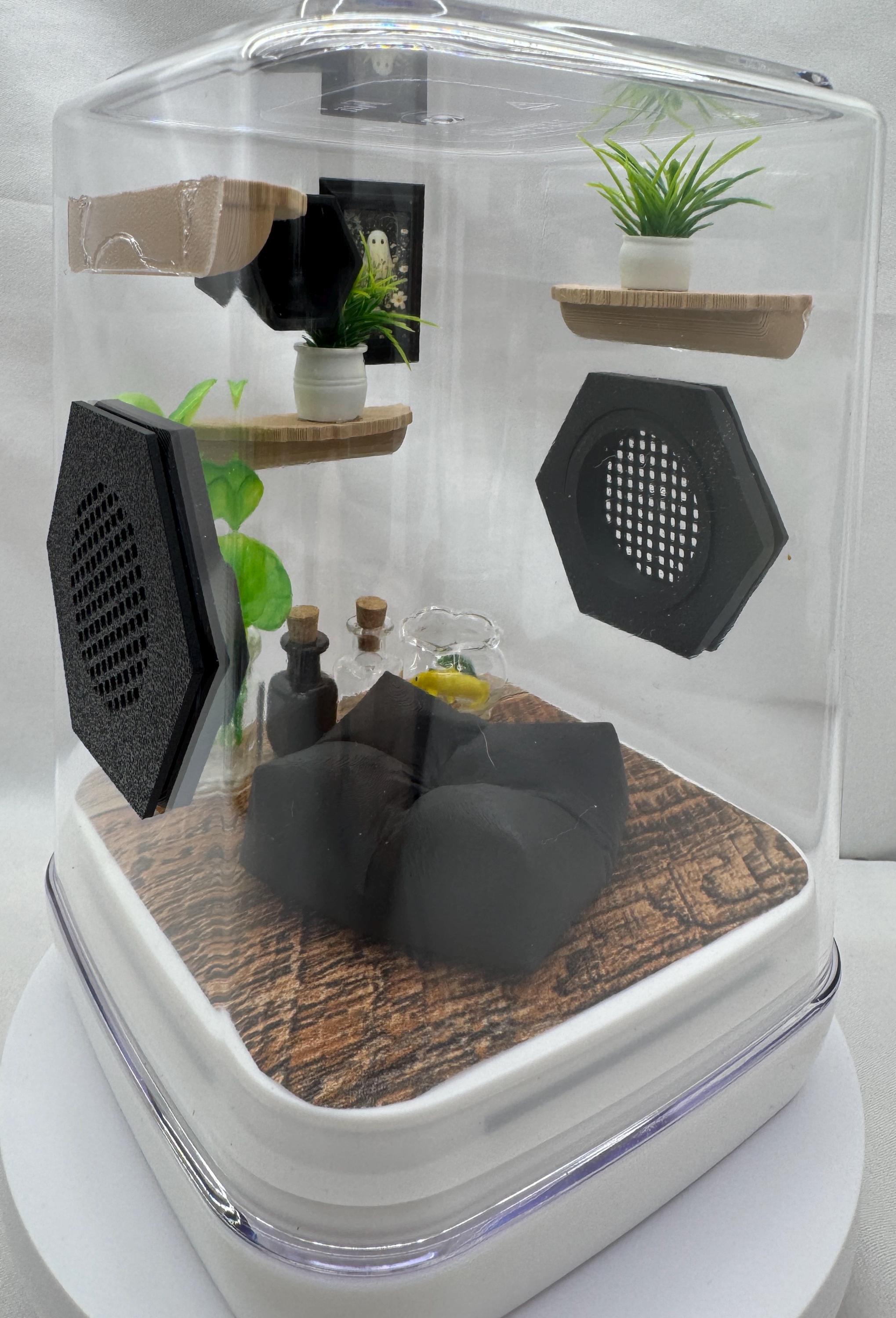 Accessory Pack for Onyx jumping spider -3d printed accessories.
