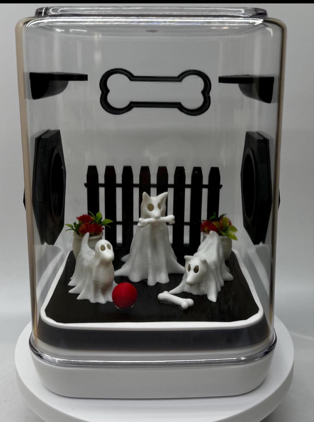 Accessory Pack for Ghost Dogs jumping spider enclosure