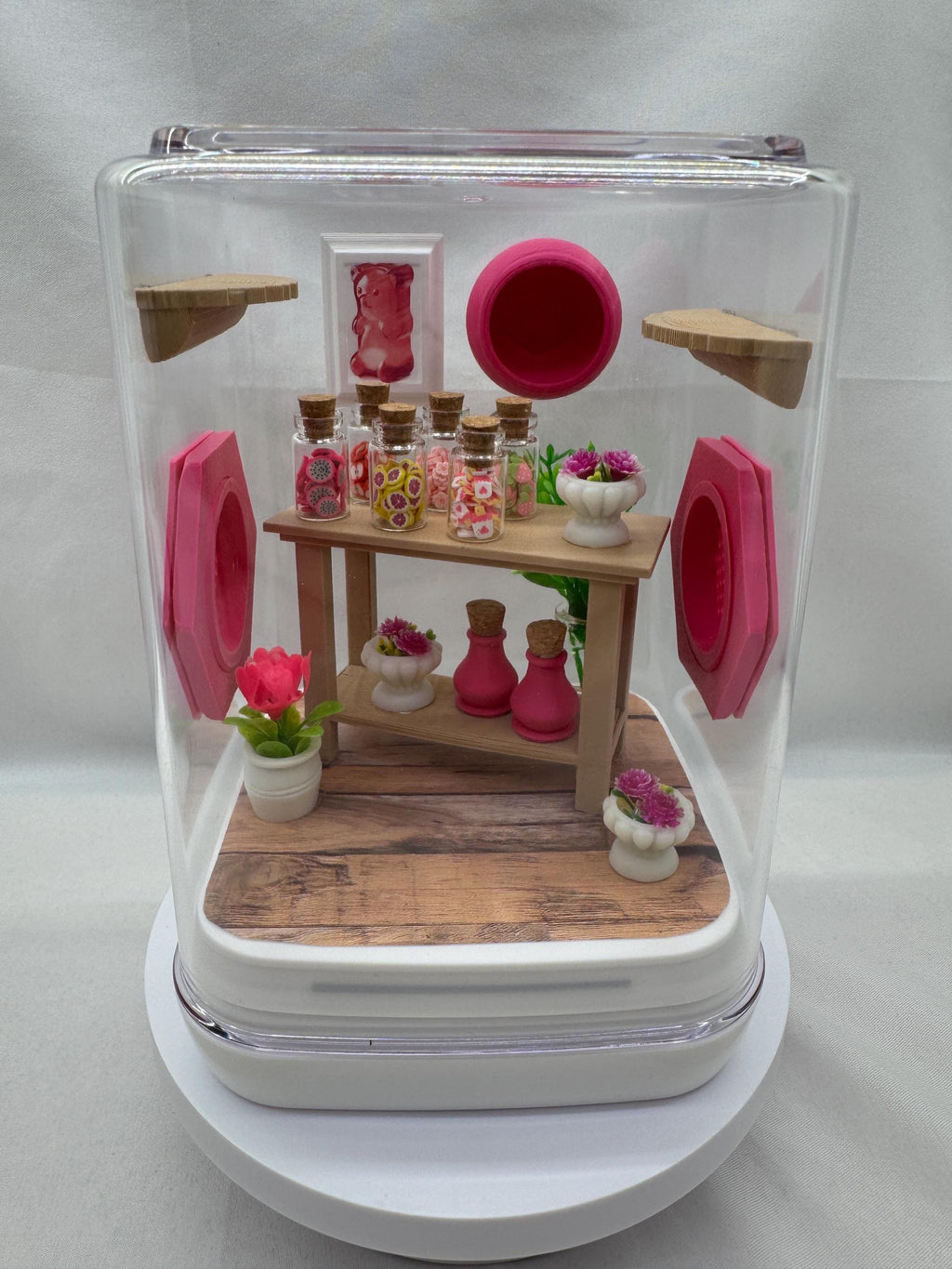 Accessory Pack for The Candy Shop jumping spider enclosure