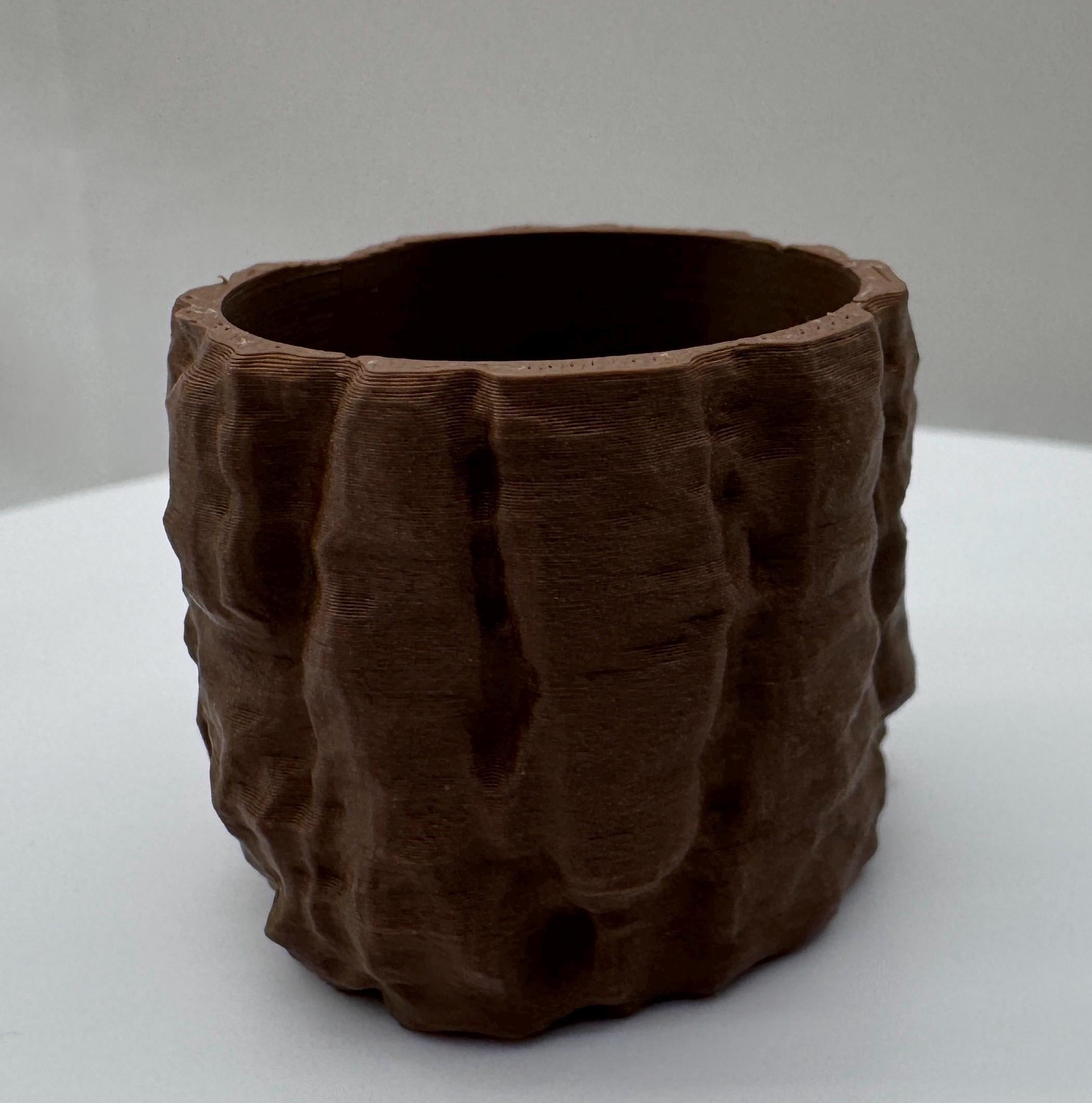 Bark Hide for Jumping Spider Enclosure