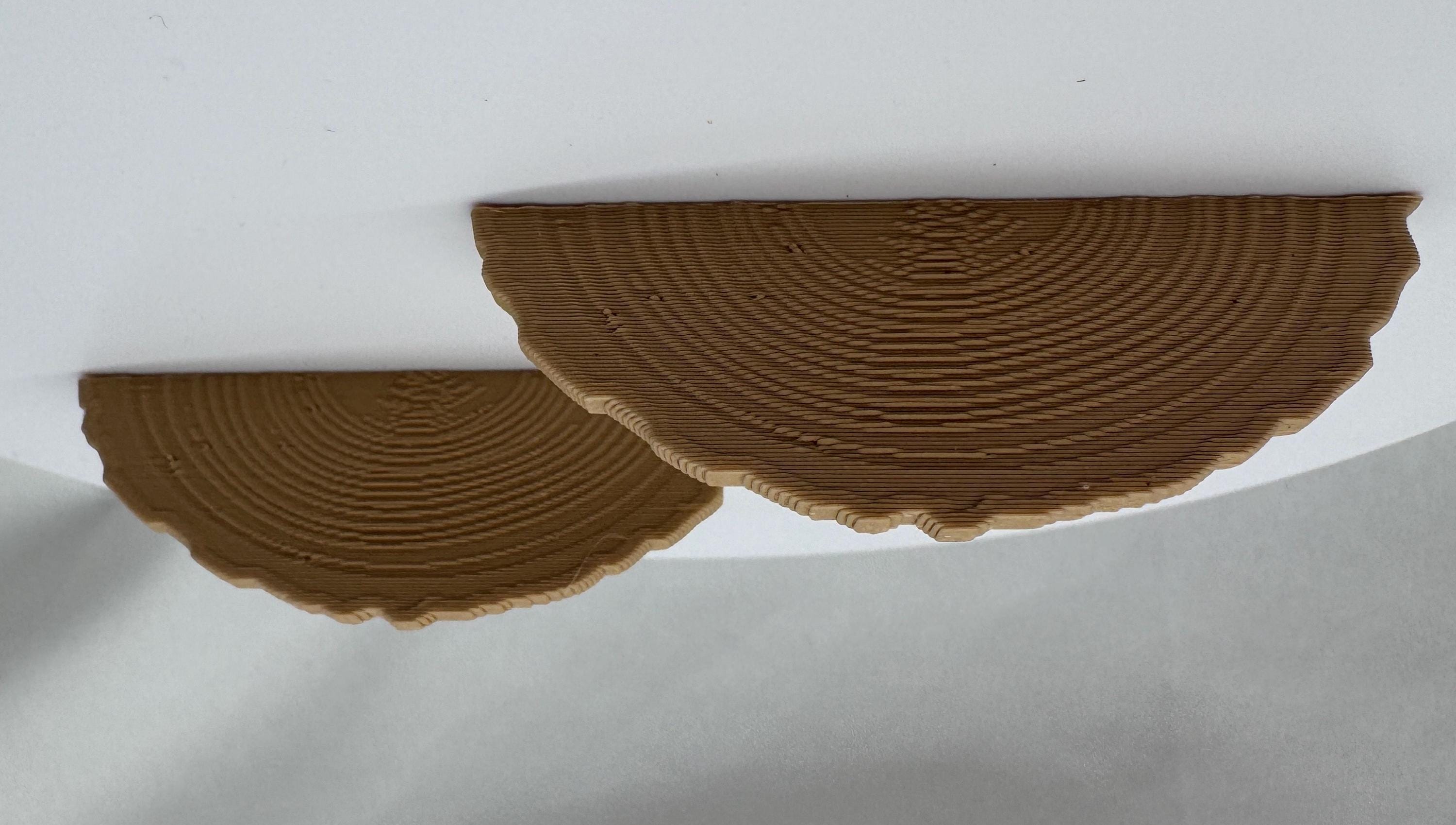 Ledges, set of 2,  jumping spider ledges, accessories