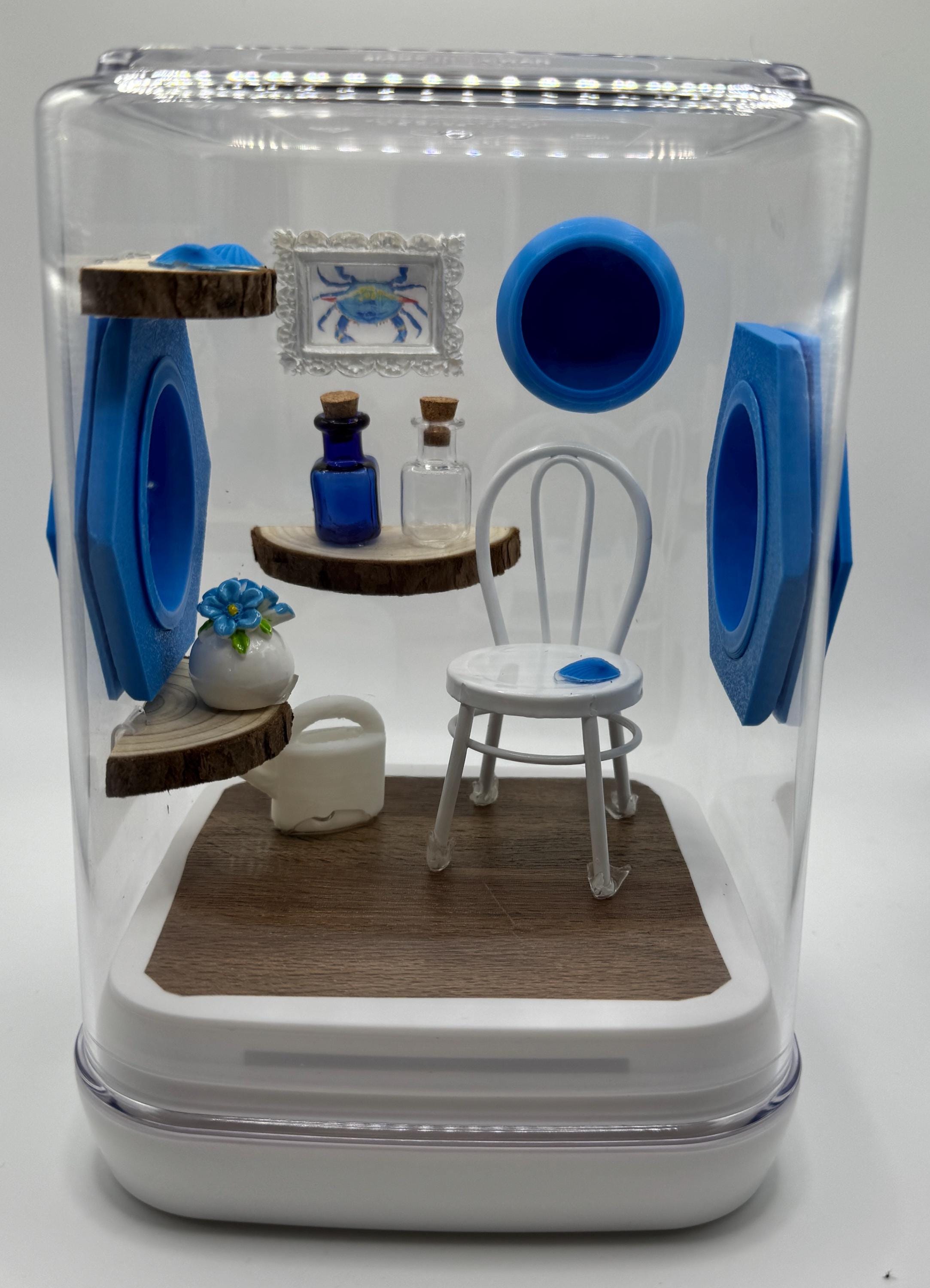 Jumping Spider Enclosure, Beach Chair Terrarium, Coastal Decor, Unique Spider Habitat