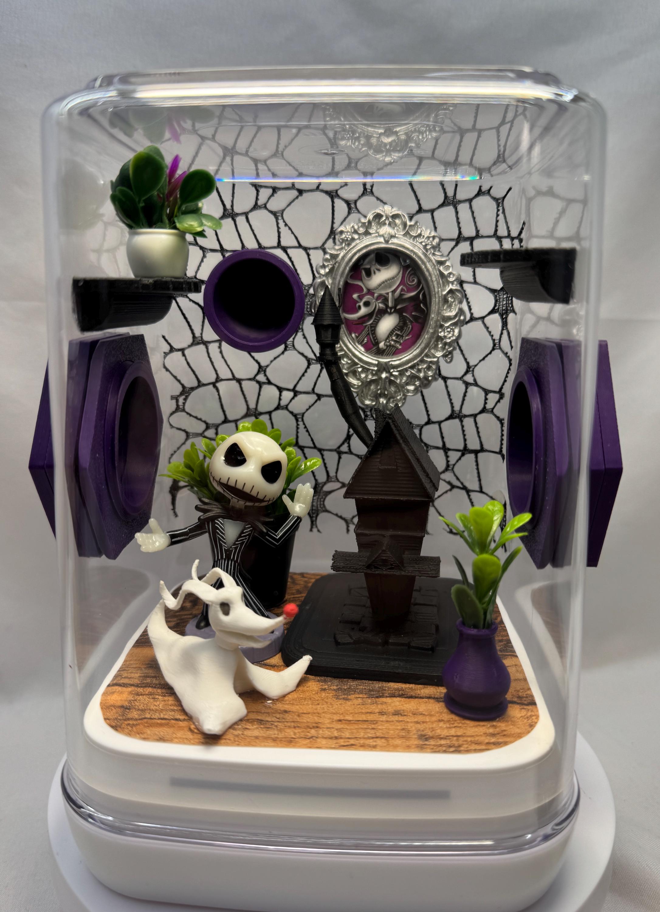 Jack inspired Jumping Spider Enclosure: Custom Arachnid Terrarium