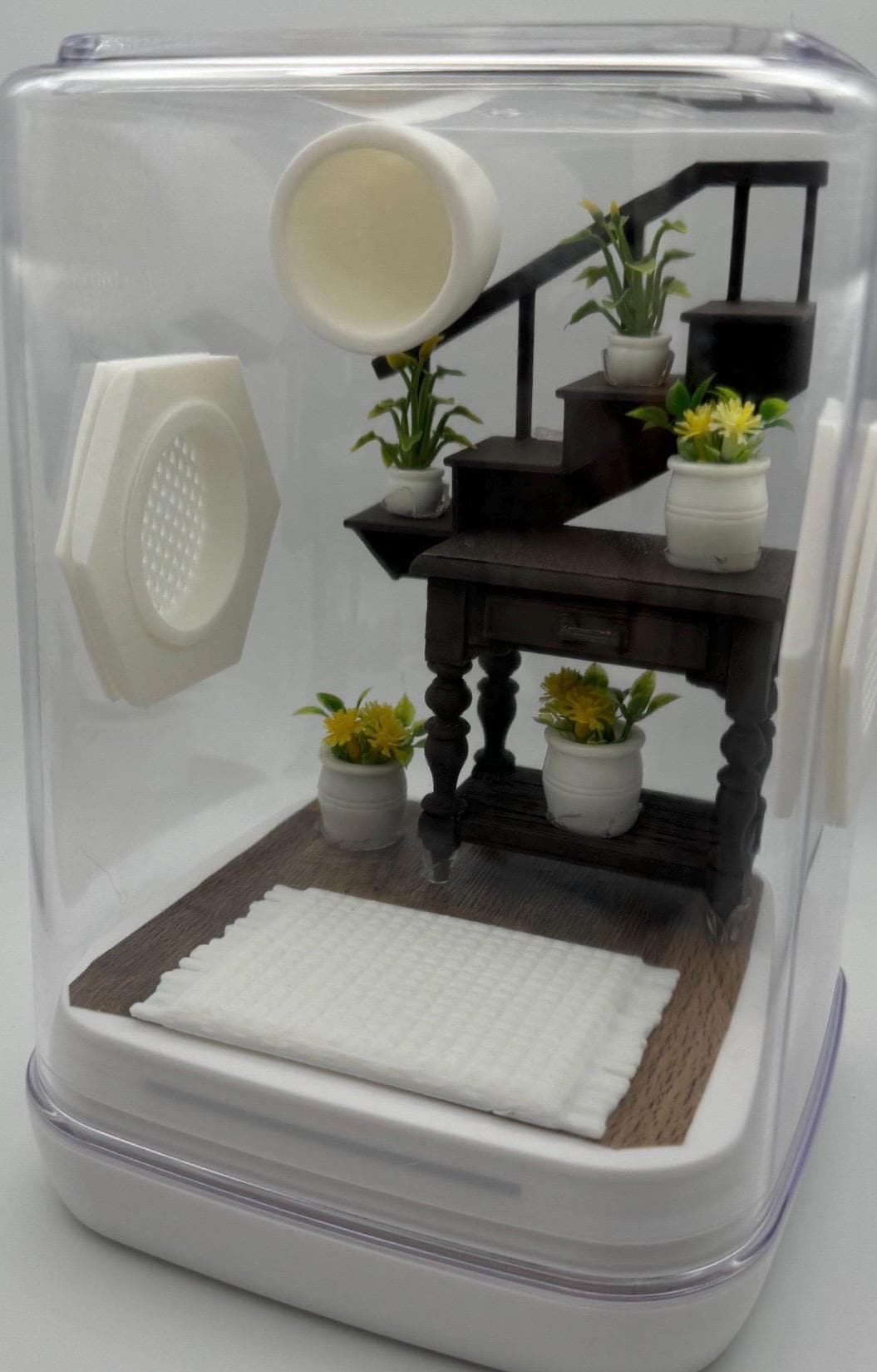 Jumping Spider Enclosure, Unique Staircase Habitat, Modern Pet Home