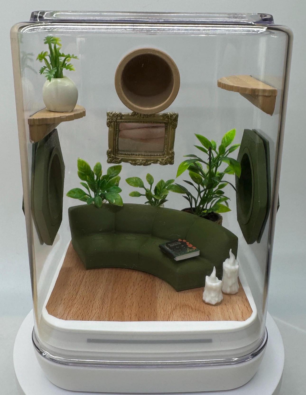 The Comfy Couch jumping spider enclosure