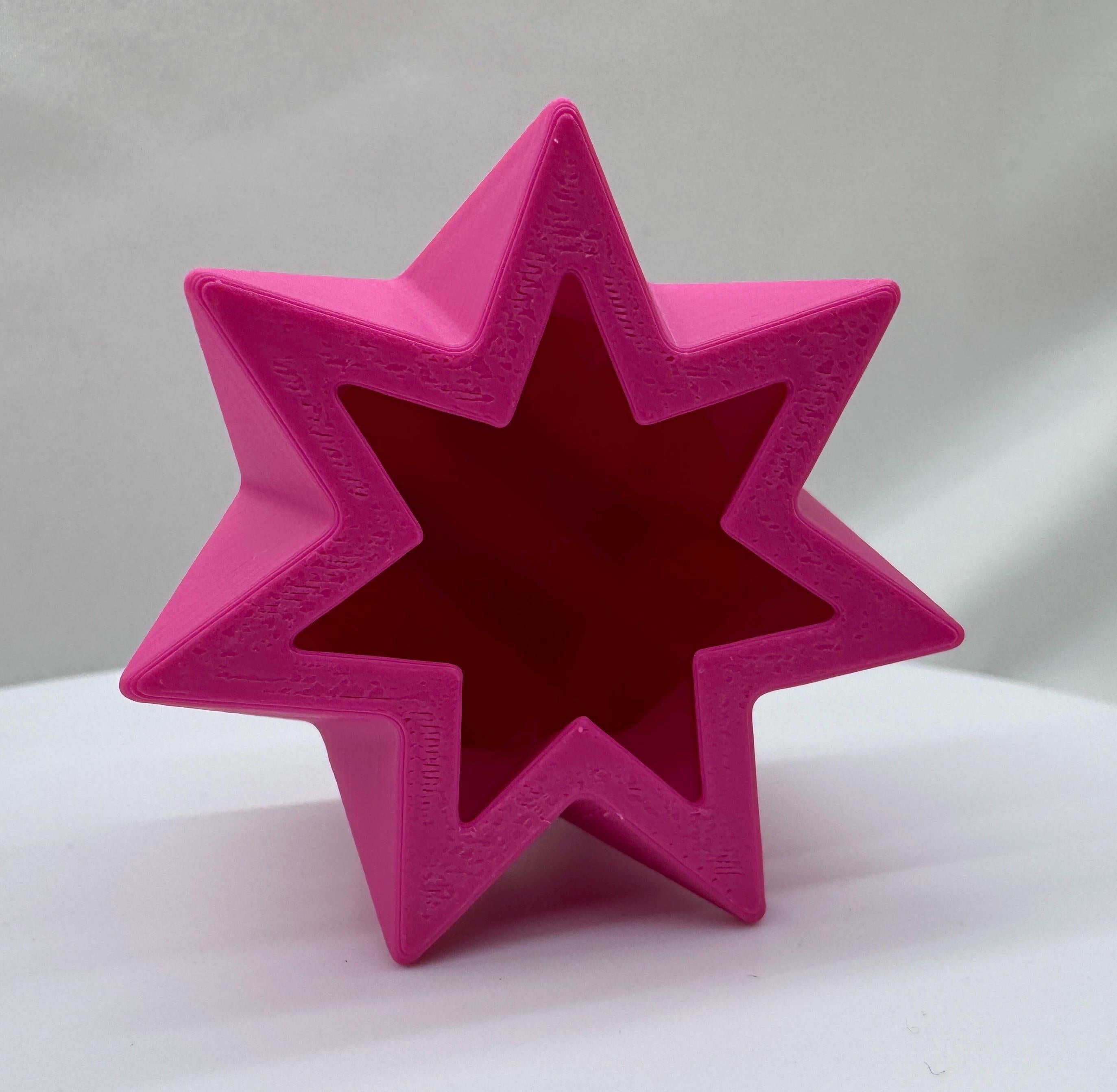 Jumping Spider Star Hide: Habitat Accessories