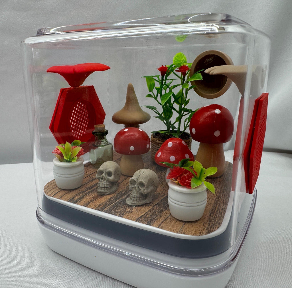 Mini mushroom jumping spider enclosure