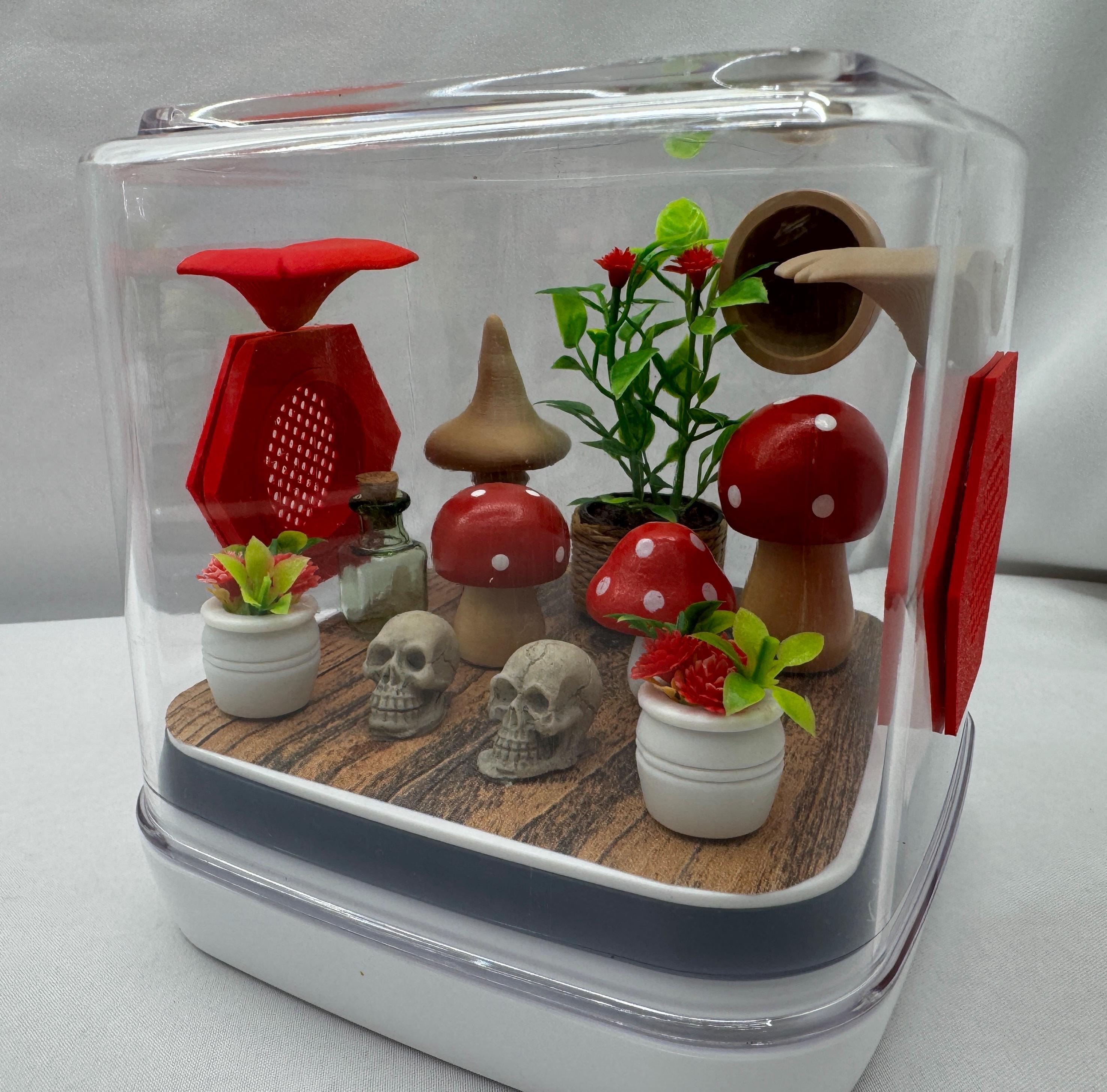 Mini mushroom jumping spider enclosure