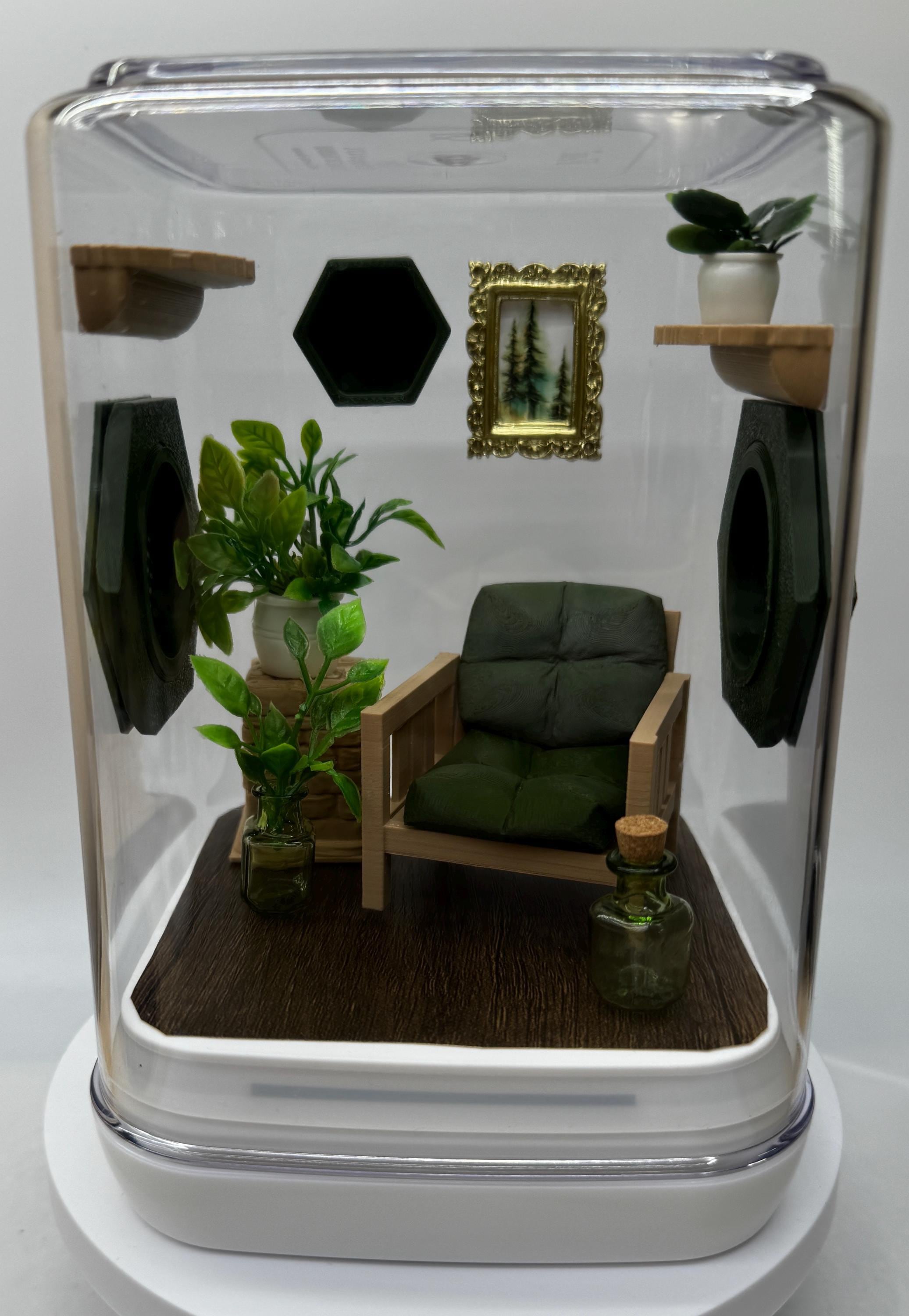 The Great Outdoors jumping spider enclosure