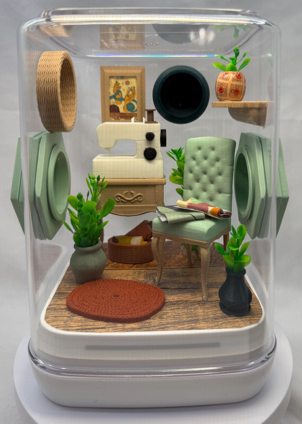 Sewing themed Jumping Spider Enclosure: Custom Arachnid Terrarium