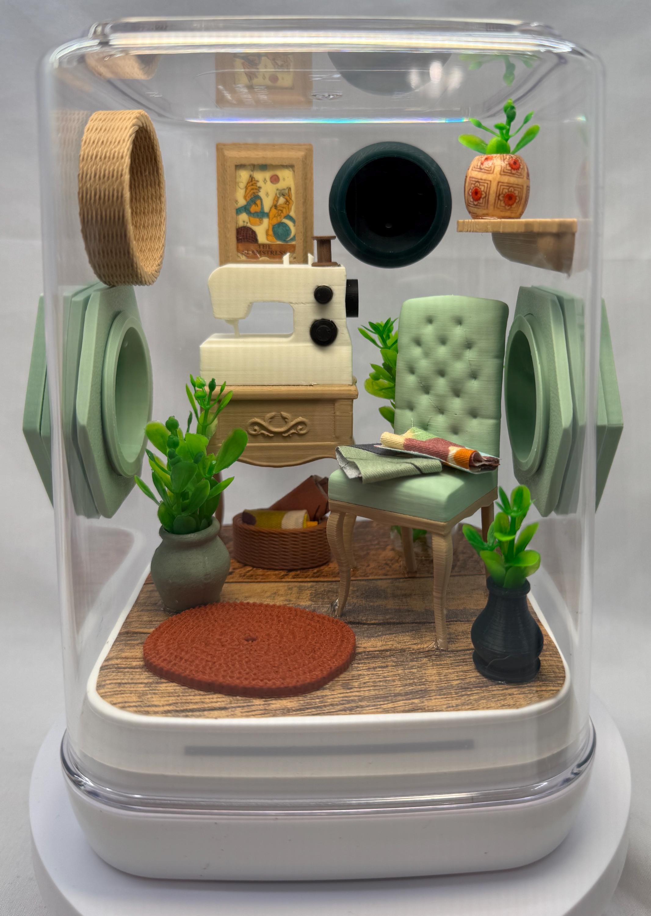 Sewing themed Jumping Spider Enclosure: Custom Arachnid Terrarium
