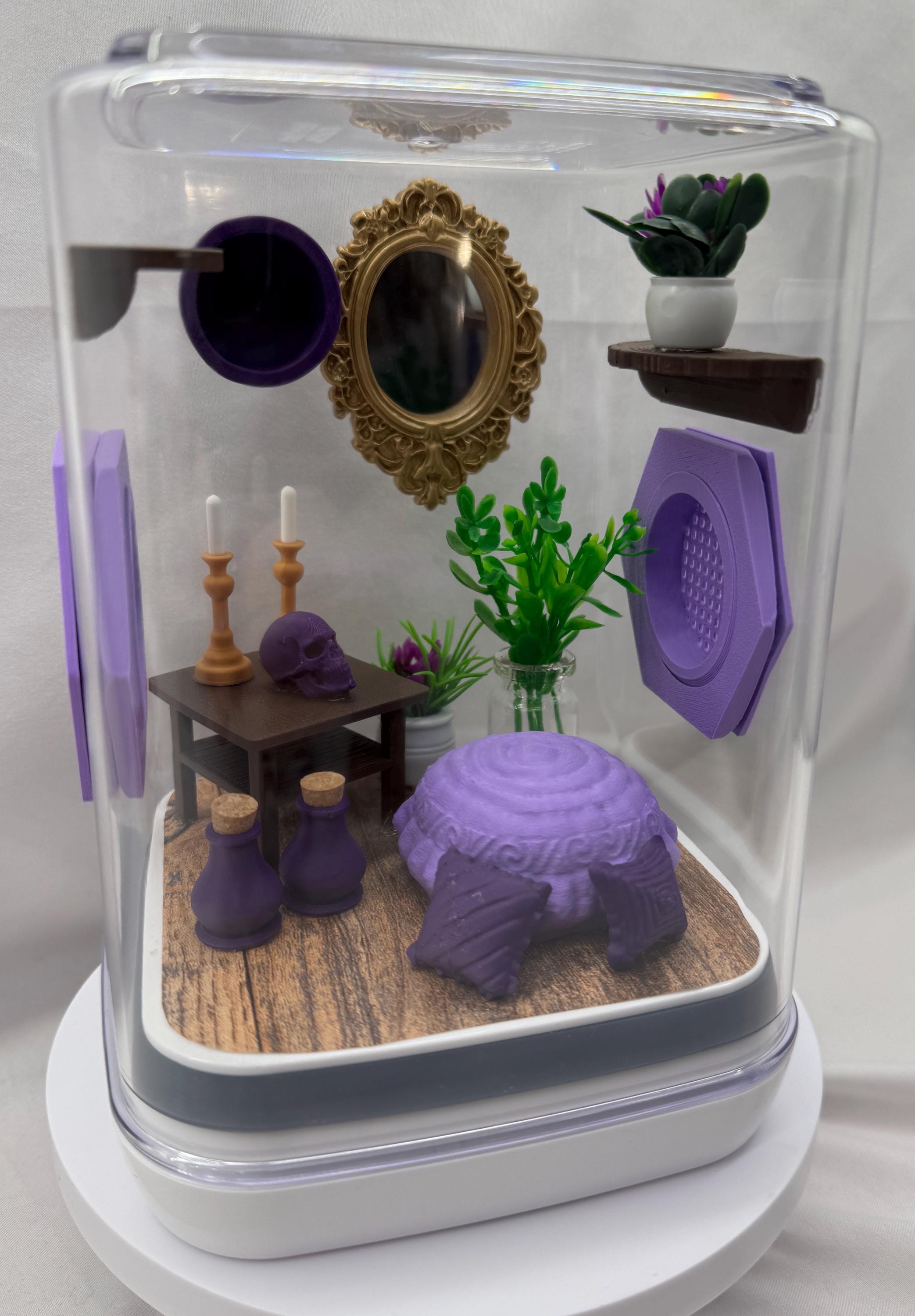 Elegant Jumping Spider Terrarium: Custom 3D Printed Habitat for Arachnid Enthusiasts
