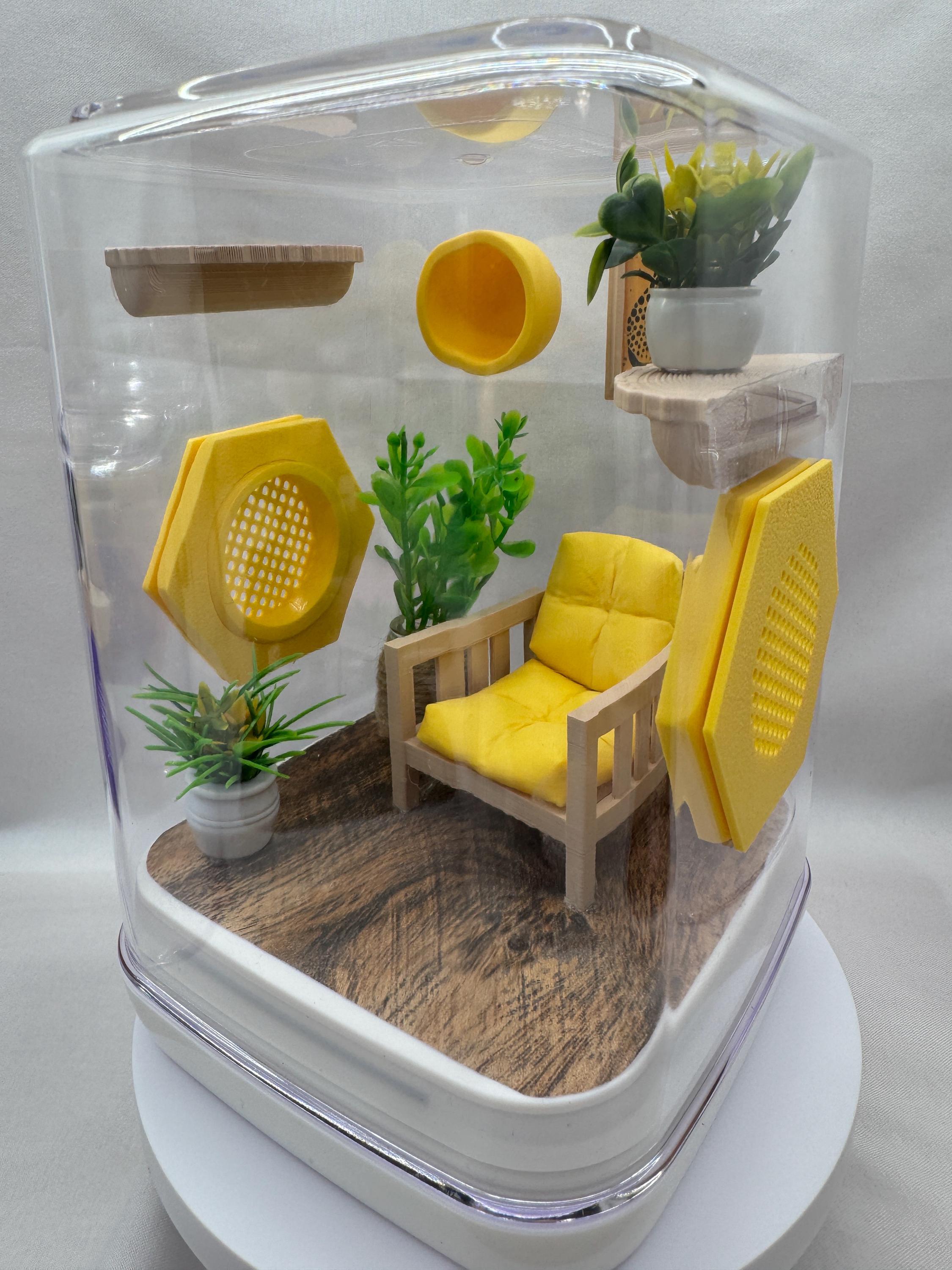 Jumping Spider Enclosure, Cute Terrarium, Buttercup Nook, Floral Decor