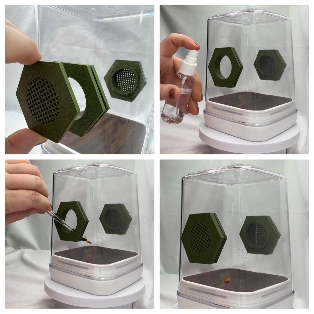 Accessory Pack for Glow Mansion jumping spider enclosure.