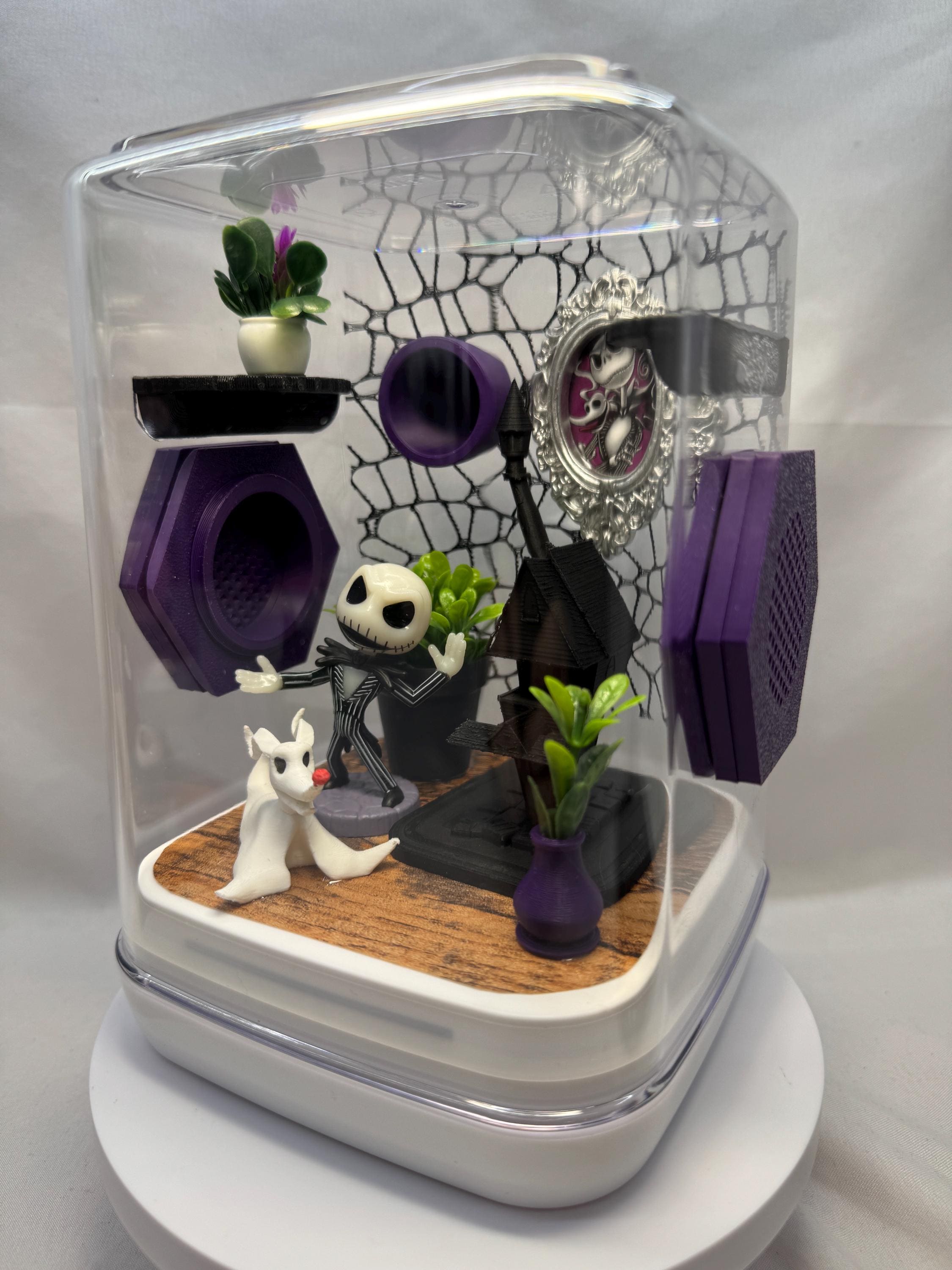 Jack inspired Jumping Spider Enclosure: Custom Arachnid Terrarium