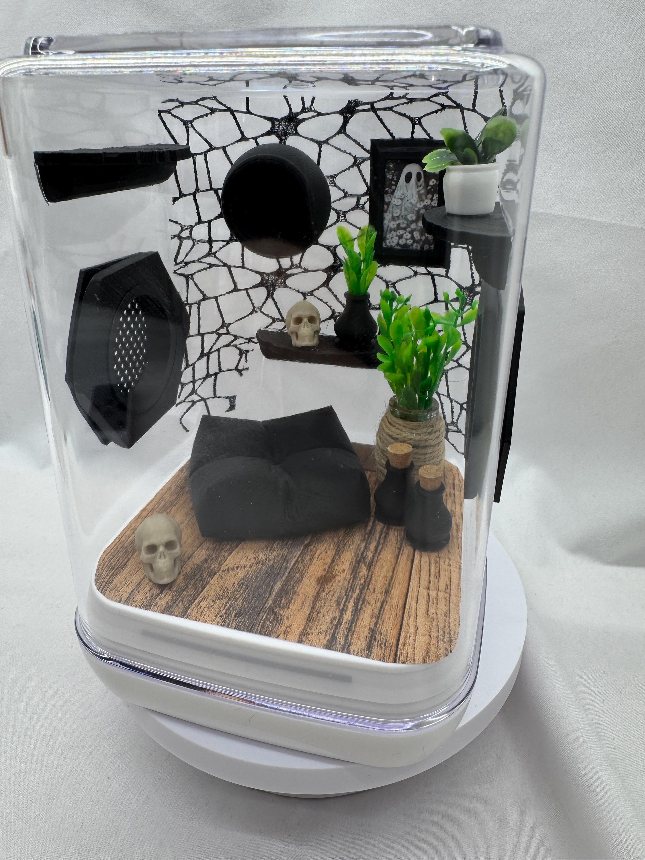 Webby Haven jumping spider enclosure, terrarium, acrylic, home