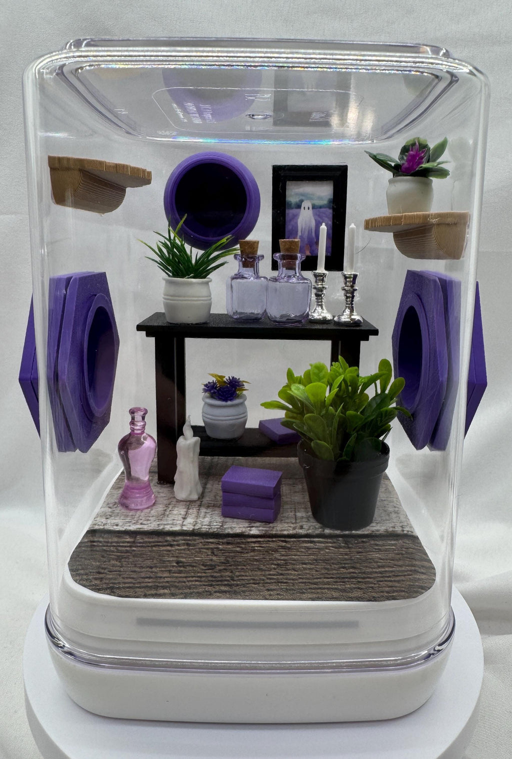 The Spooky Spider Den jumping spider enclosure