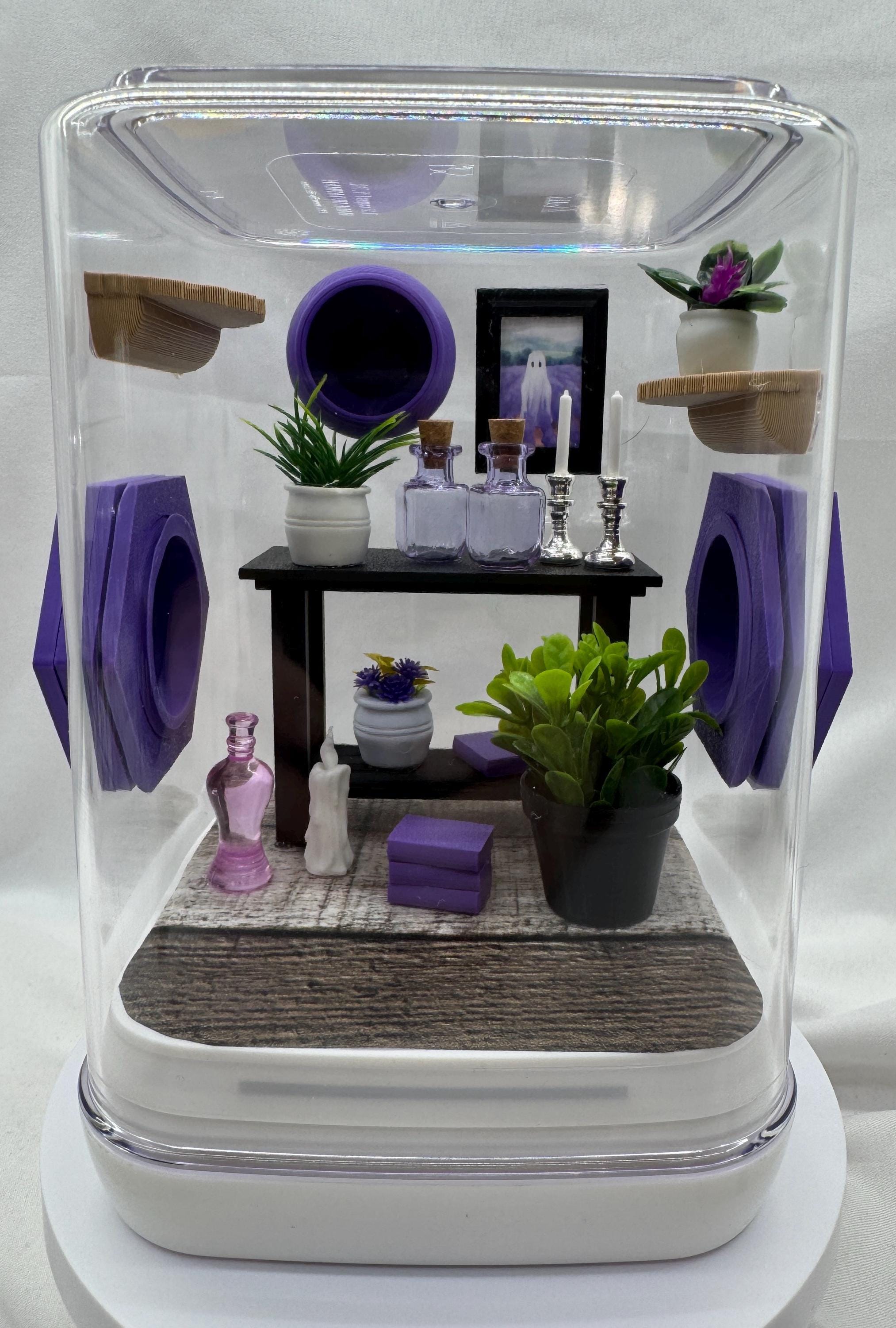 The Spooky Spider Den jumping spider enclosure