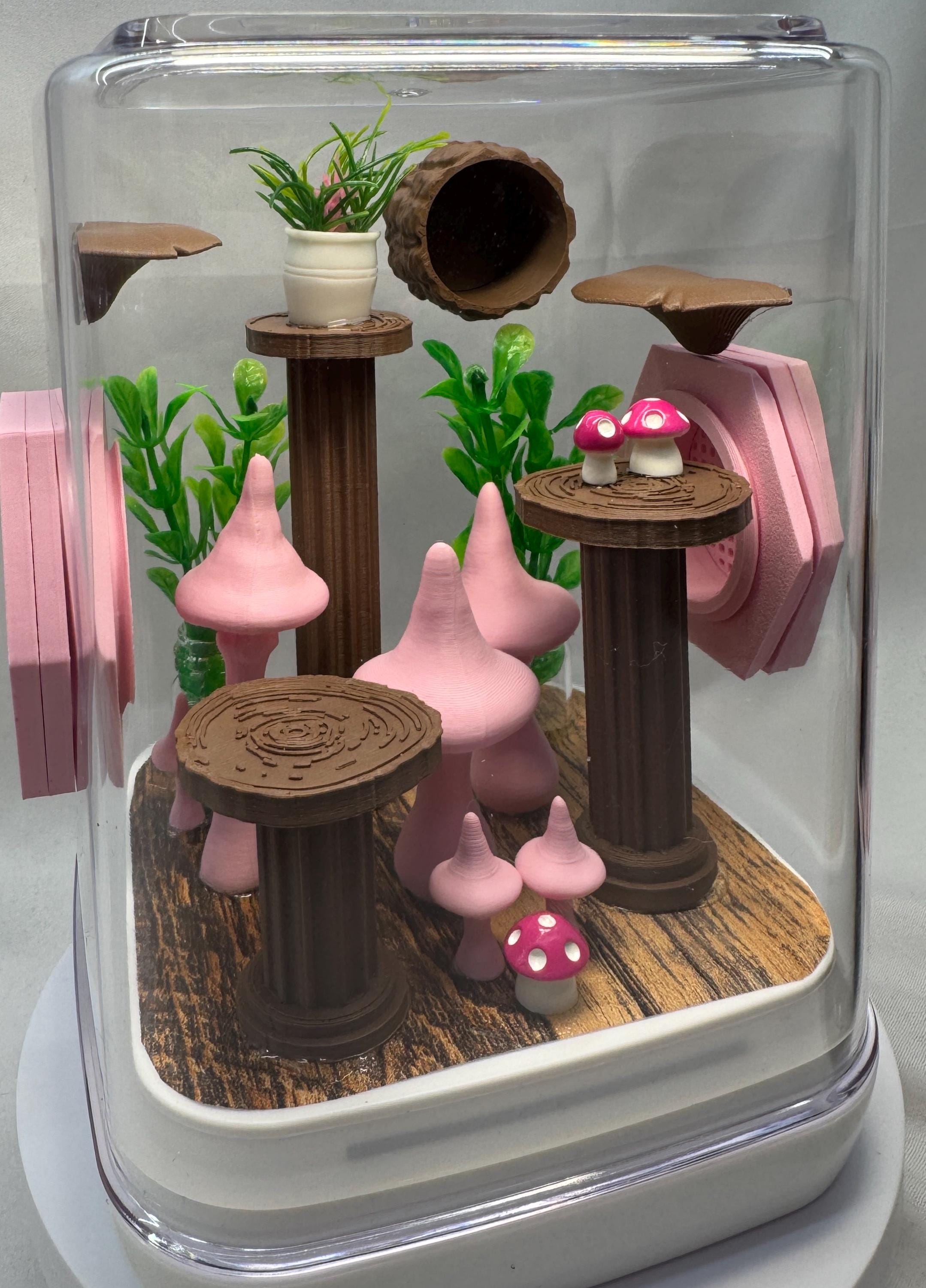 Decorated Jumping Spider Enclosure: Pink Mushroom Terrarium