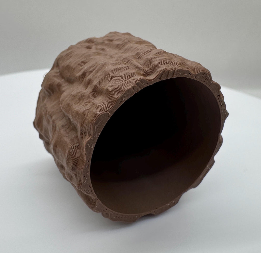 Bark Hide for Jumping Spider Enclosure