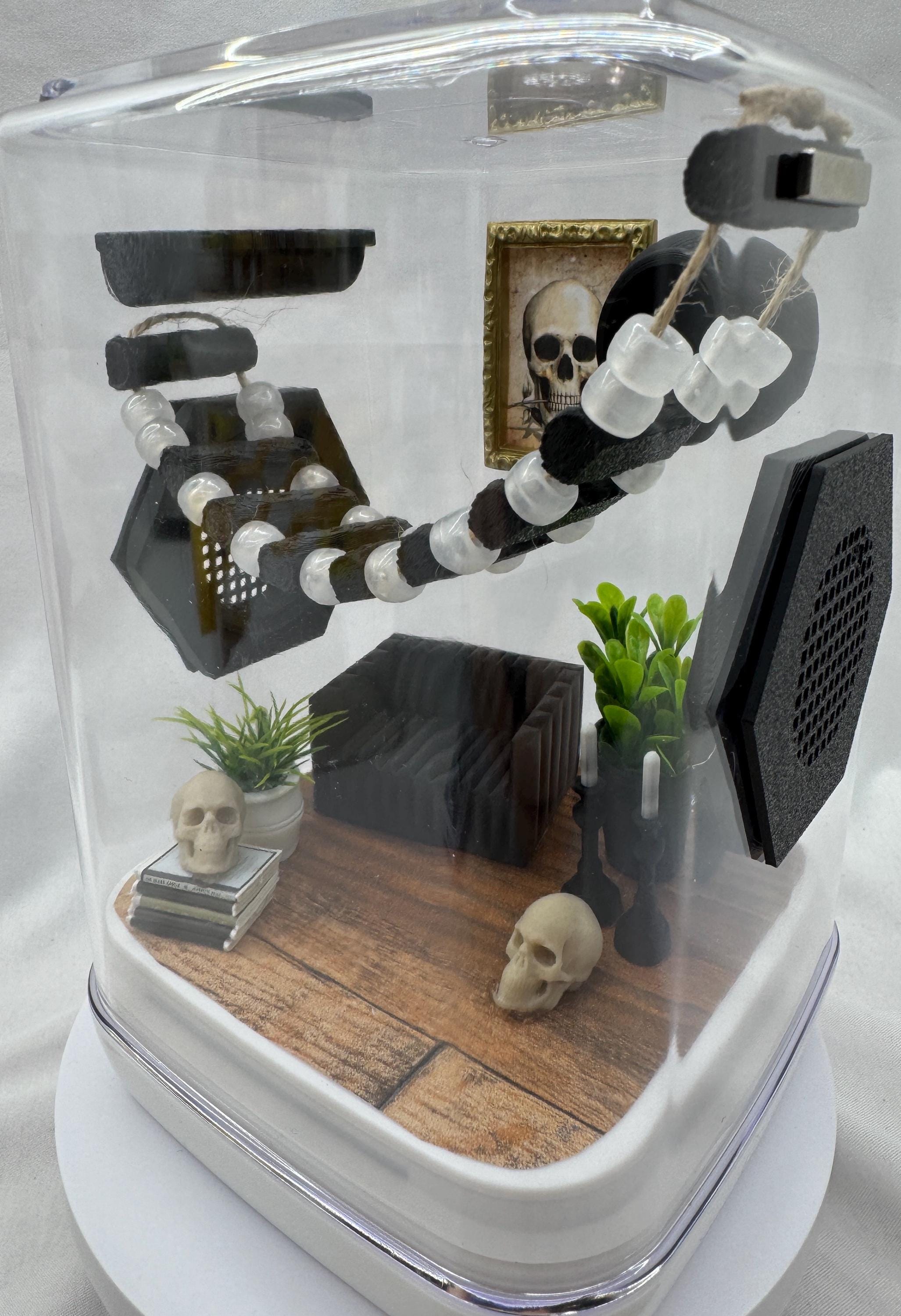 Spooky Jumping Spider Enclosure: Glow Bridge Terrarium