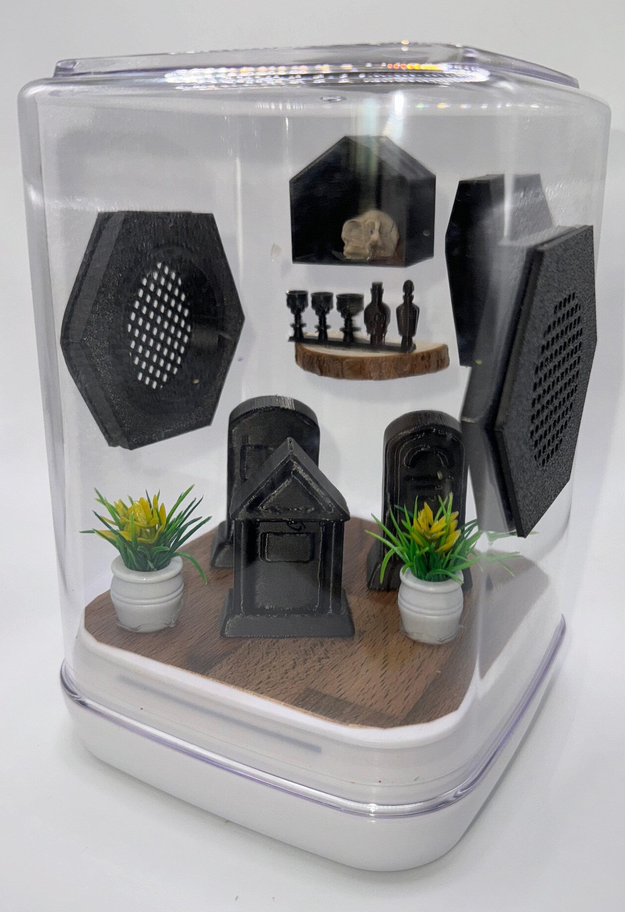 Accessory Pack for Jumping Spiders -  Terrarium Decor Set -  Spider Habitat Supplies - Graveyard